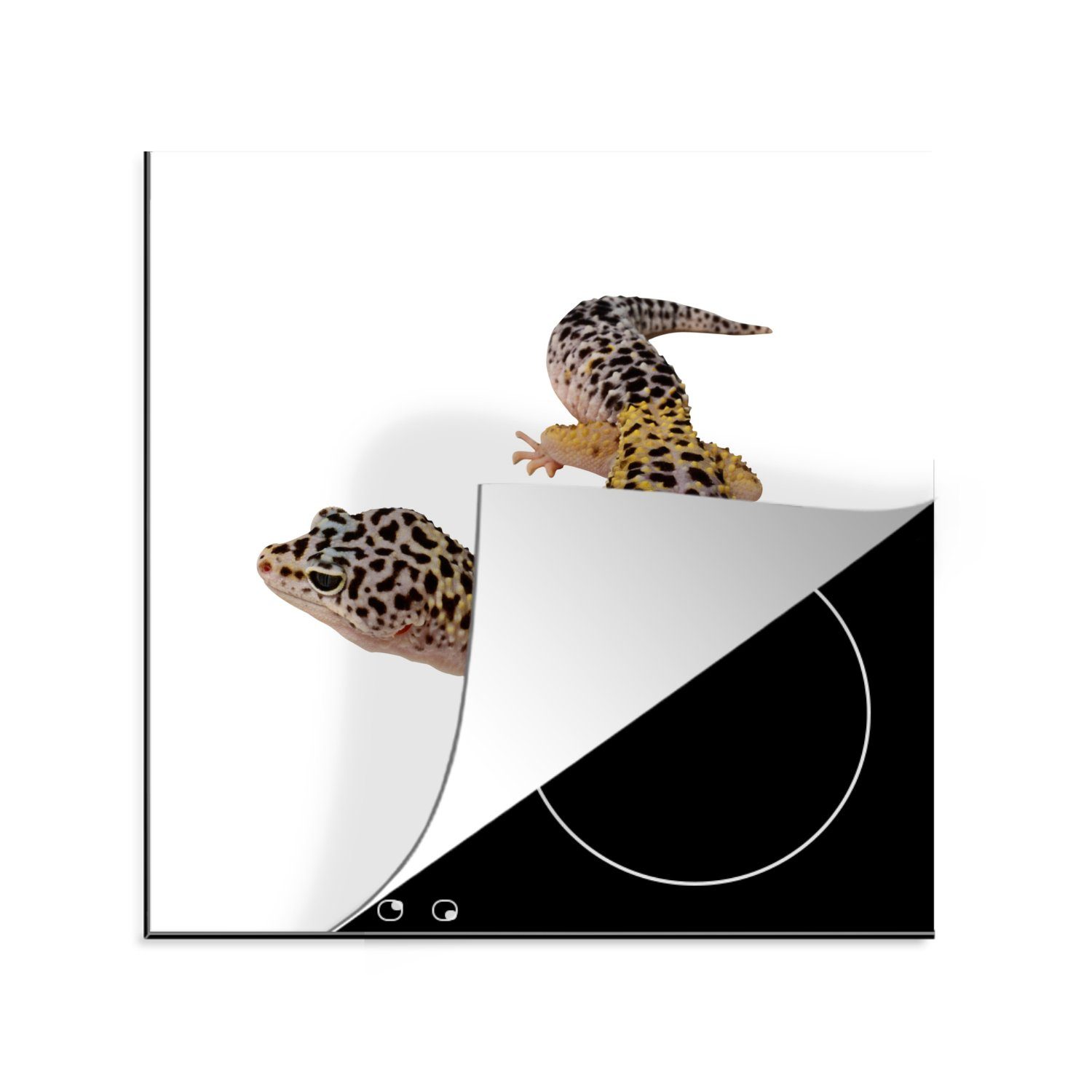 MuchoWow Herdblende-/Abdeckplatte Gecko auf weißem Hintergrund, Vinyl, (1 tlg), 78x78 cm, Ceranfeldabdeckung, Arbeitsplatte für küche
