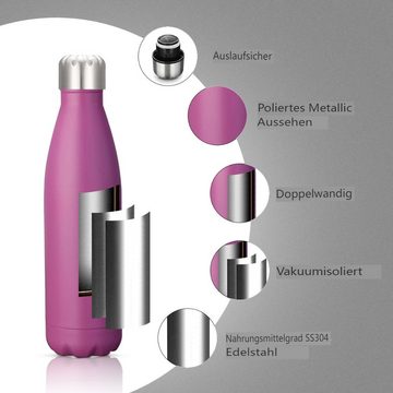 Insma Thermoflasche 500ml doppelwandige Isolierflasche Trinkflasche, mit auslaufsicherem Deckel und Bürste
