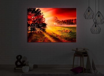 lightbox-multicolor LED-Bild Sonnenuntergang an nebliger Lichtung front lighted / 60x40cm, Leuchtbild mit Fernbedienung