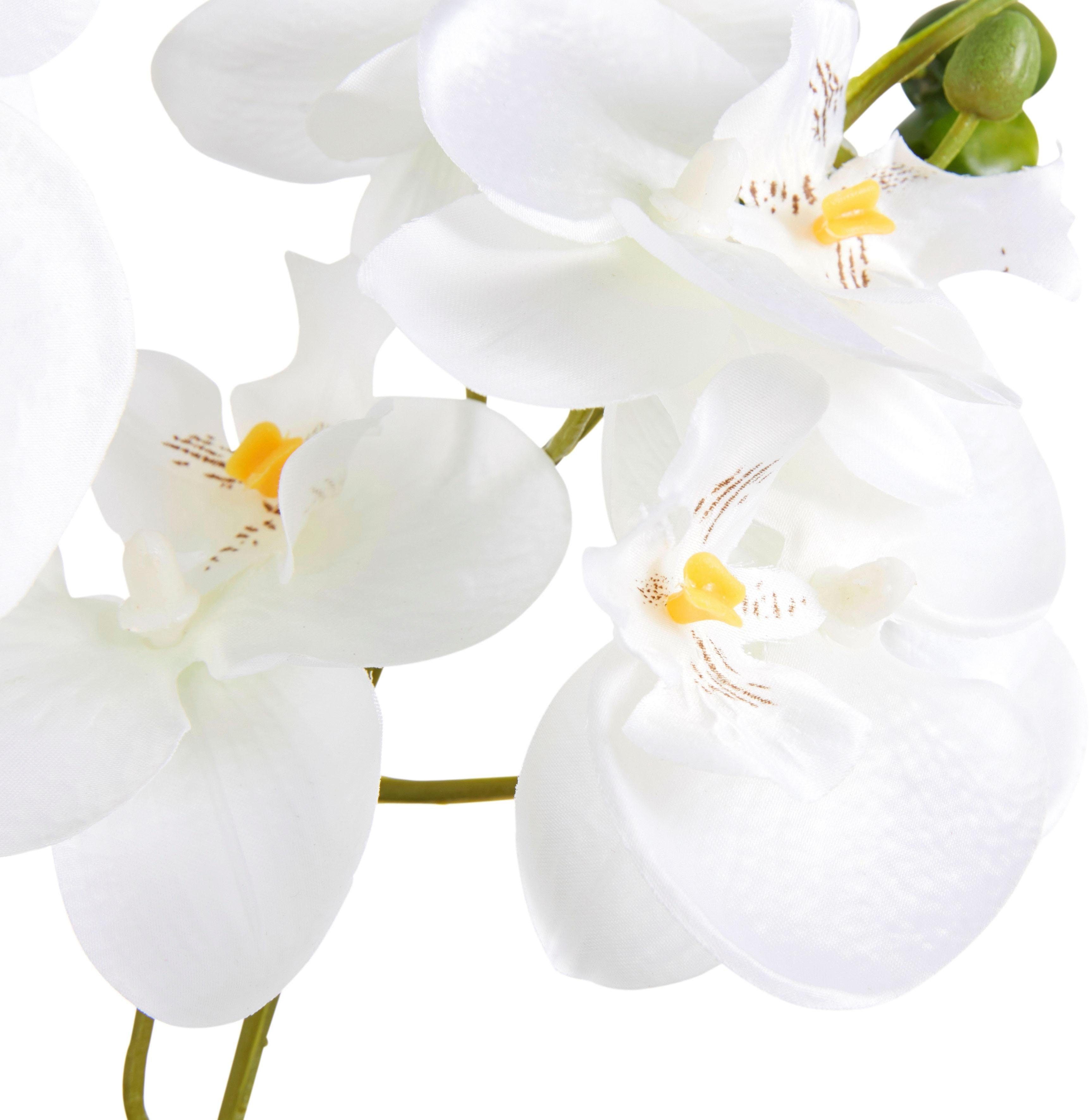 Kunstpflanze Orchidee green, cm Orchidee, Creativ Höhe weiß 55