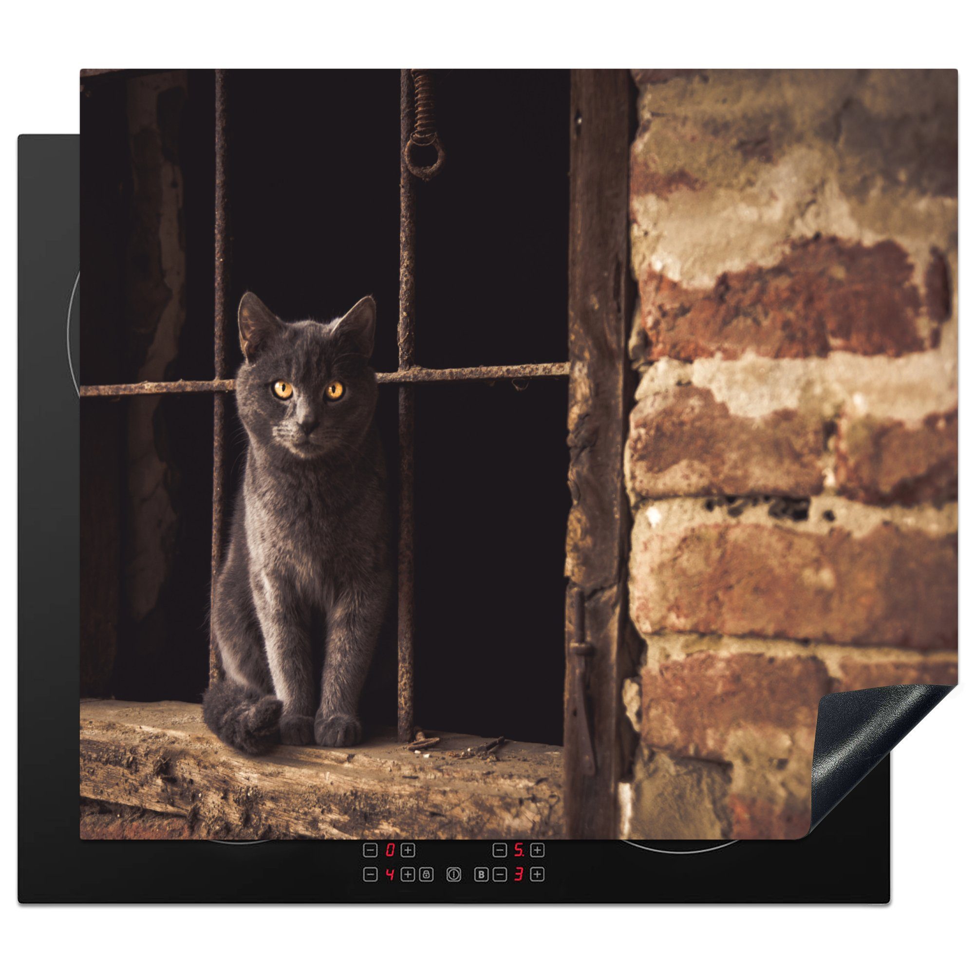 MuchoWow Herdblende-/Abdeckplatte Katze - Ziegel - Mauer, Vinyl, (1 tlg), 60x52 cm, Mobile Arbeitsfläche nutzbar, Ceranfeldabdeckung