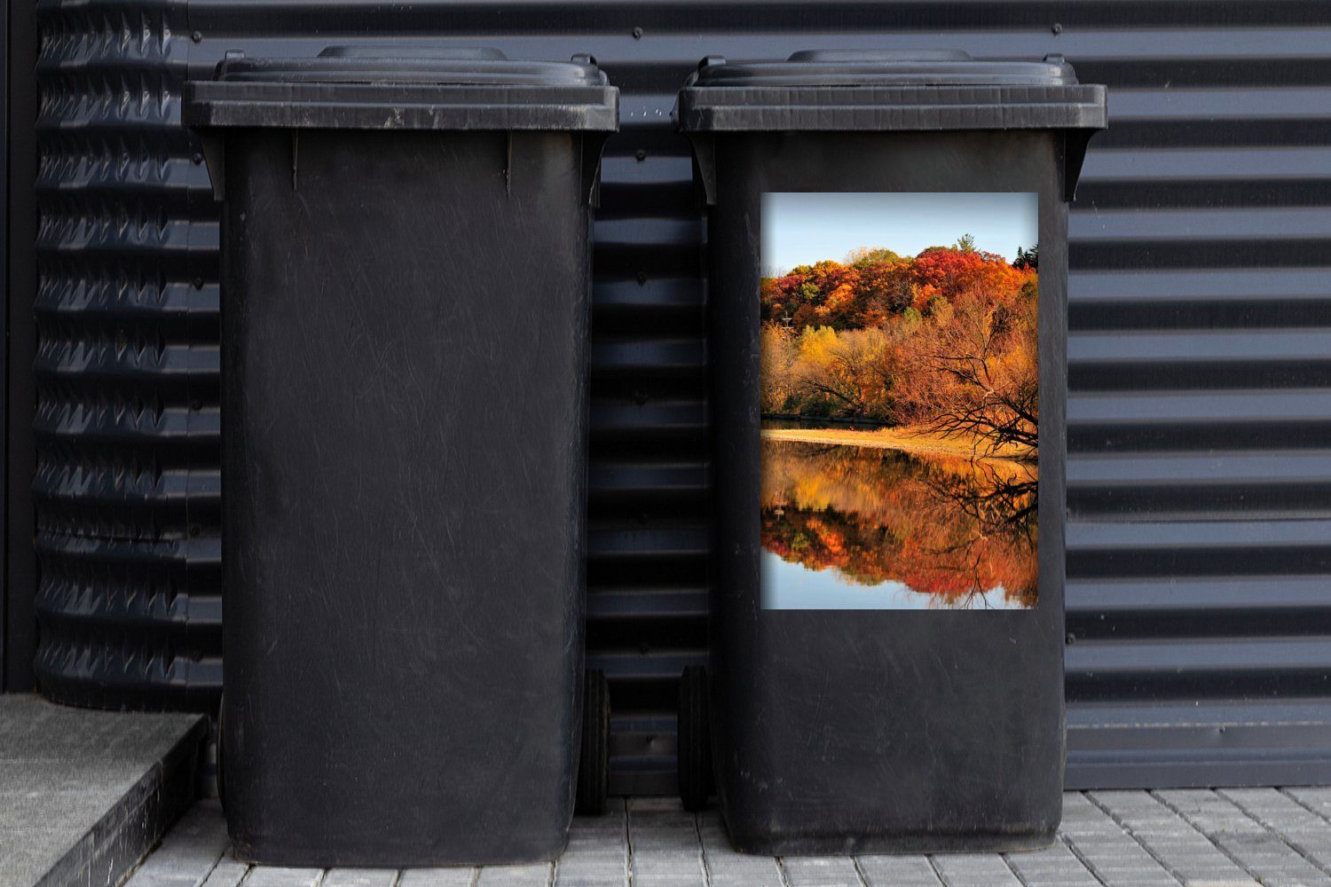 Illinois Sticker, Wald (1 St), Herbst in Abfalbehälter MuchoWow im Mülleimer-aufkleber, Wandsticker Container, Mülltonne,