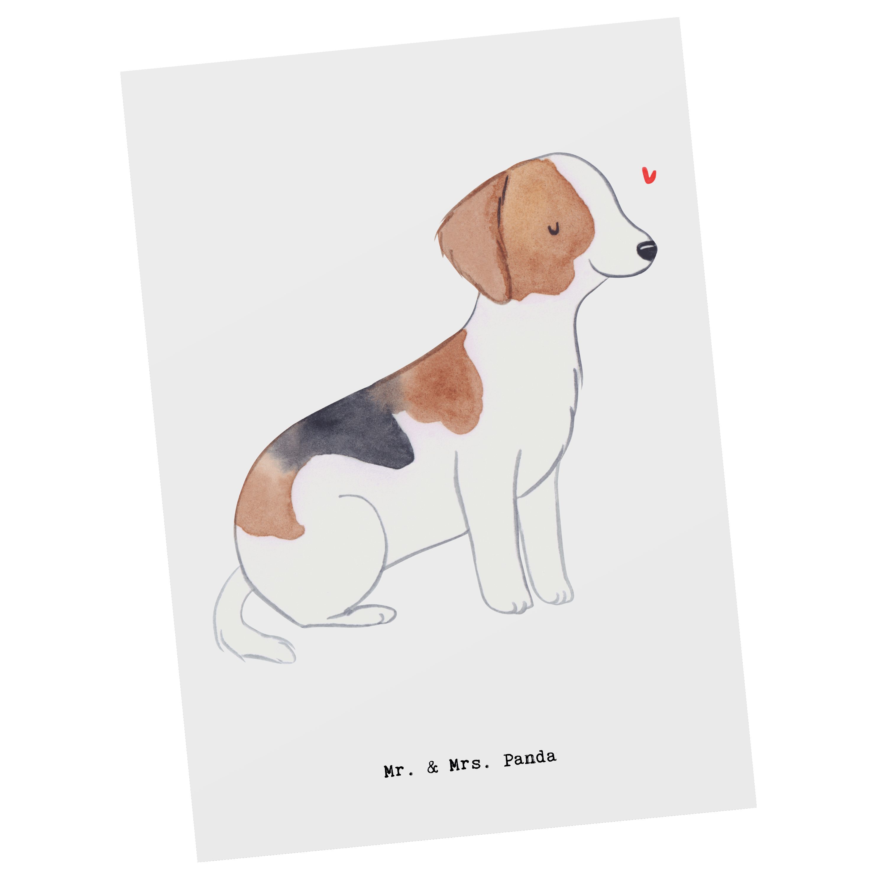 Mr. & Mrs. Panda Postkarte Foxhound Moment - Weiß - Geschenk, Hundebesitzer, Einladung, Hund, La