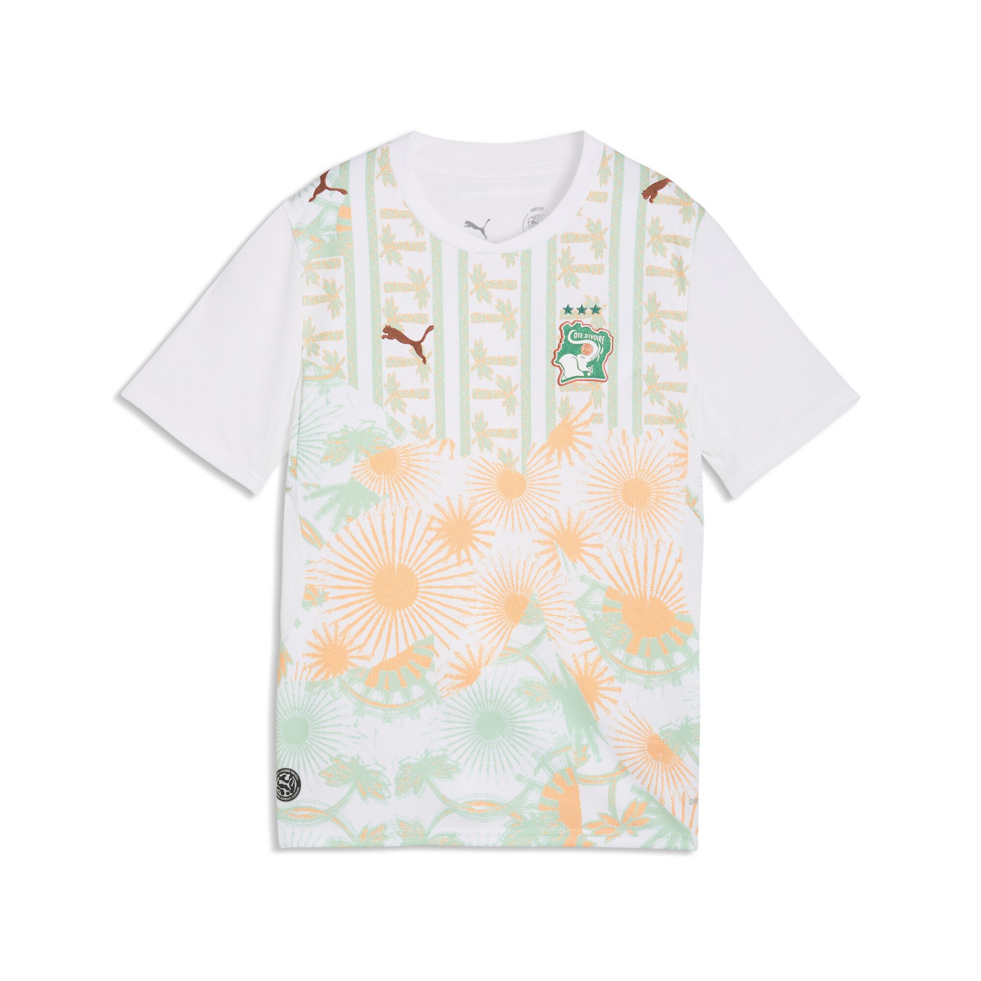 Trainingsshirt Elfenbeinküste 2026 Auswärtstrikot Jugendliche