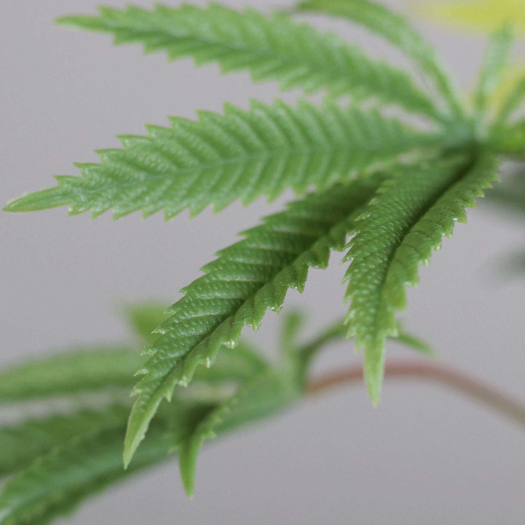 Kunstpflanze Künstliche Cannabis Pflanze im Topf, Grün, 55 cm Höhe, mucPlan günstig online kaufen