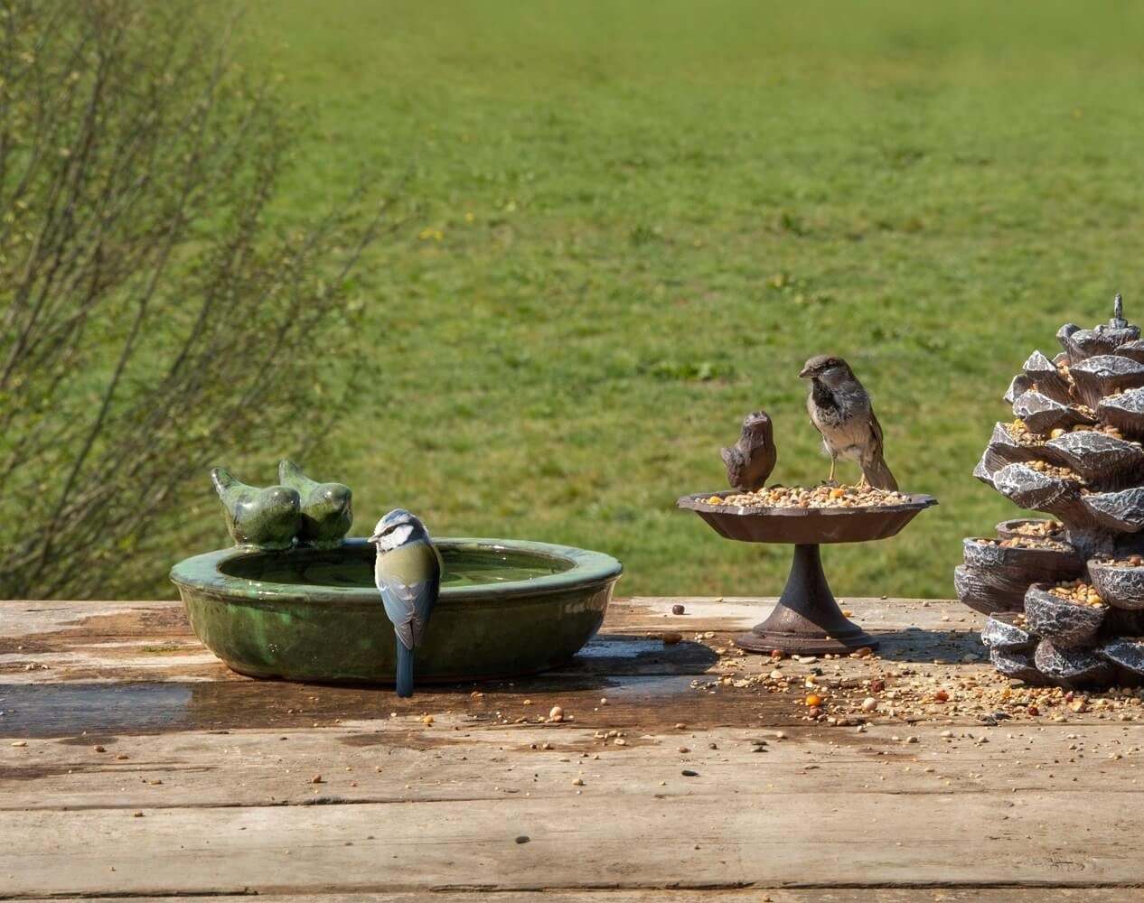 Dekowunder Vogeltränke rund Vogelbecken Futterschale Wasserstelle Terracotta