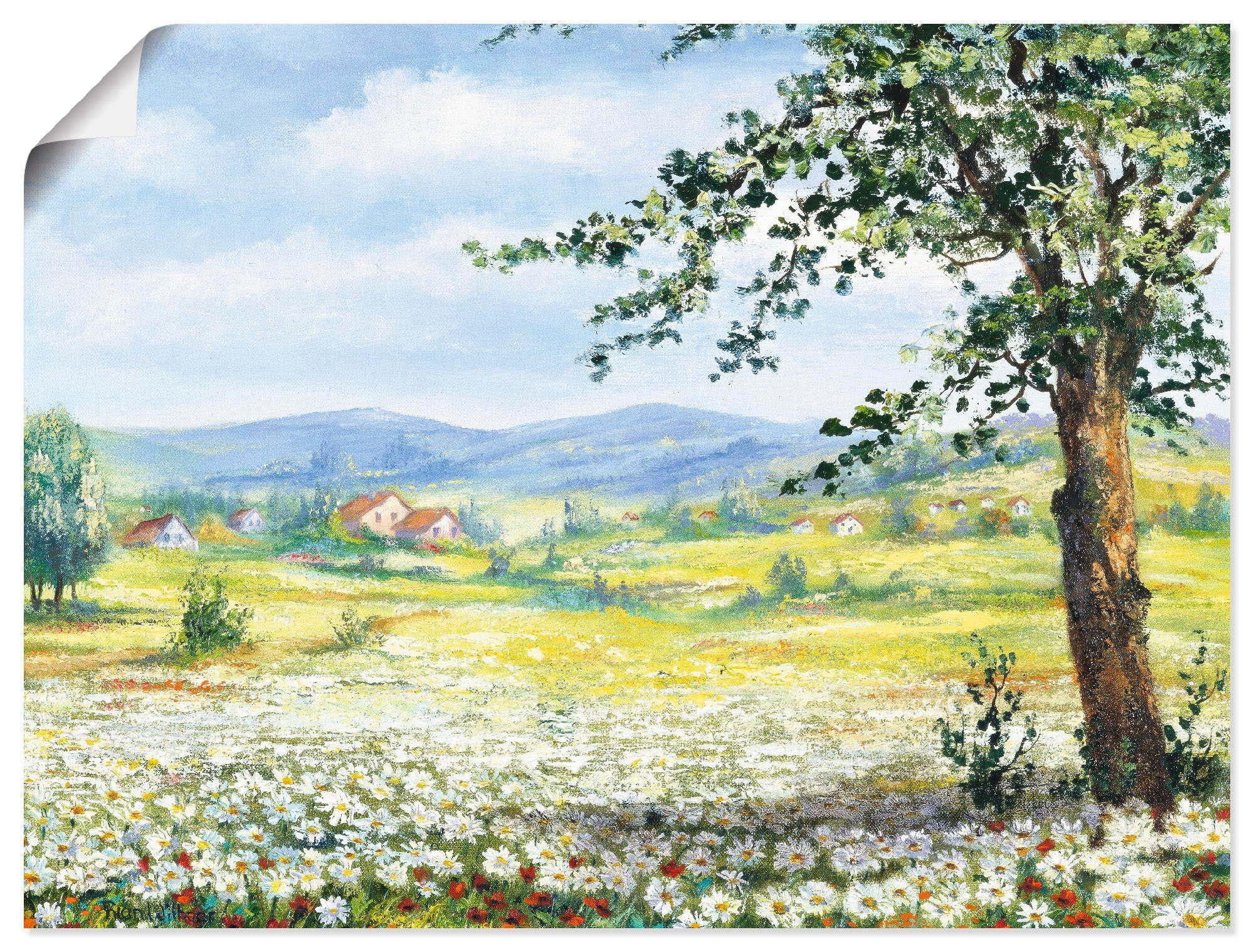 Artland (1 oder St), Margeritenfeld, in Wandbild Größen & Bäume Wiesen Wandaufkleber Leinwandbild, als Poster versch.