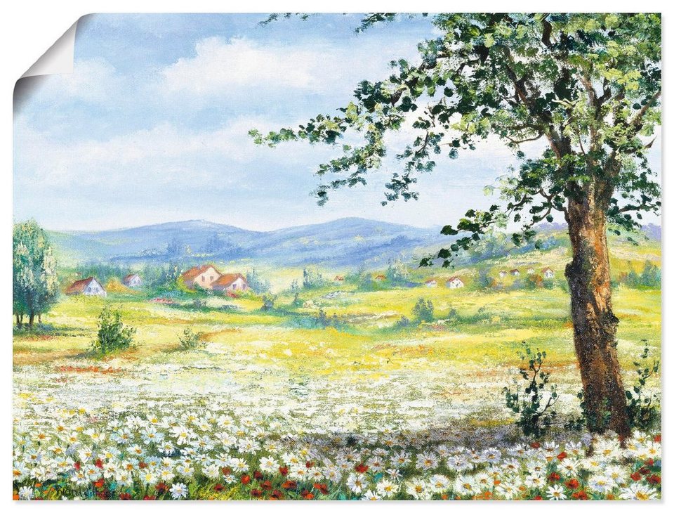 Artland Wandbild Margeritenfeld, Wiesen & Bäume (1 St), als Leinwandbild,  Wandaufkleber oder Poster in versch. Größen