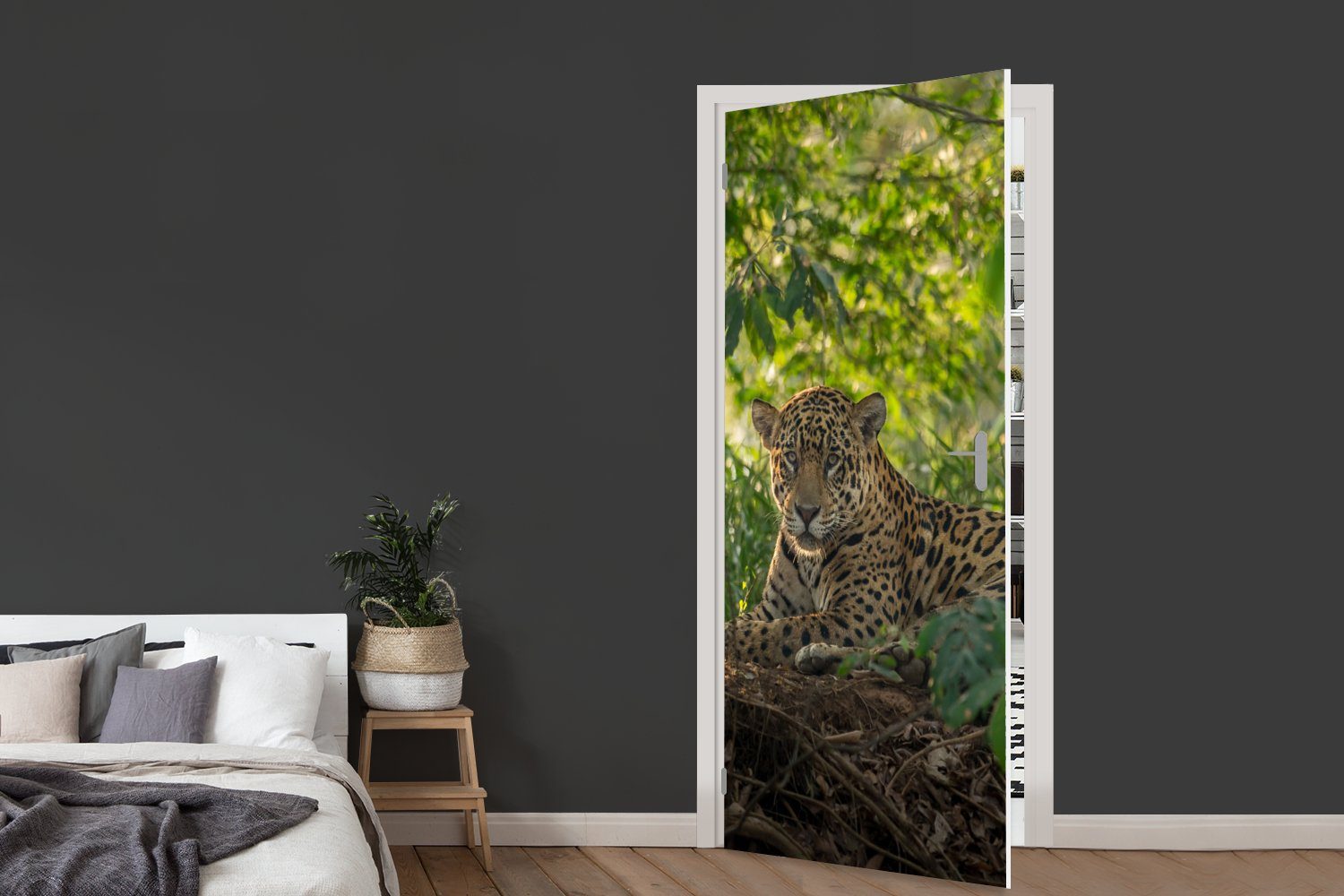 (1 Matt, 75x205 Fototapete St), Tür, für MuchoWow im bedruckt, Jaguar cm Türaufkleber, Dschungel, Türtapete