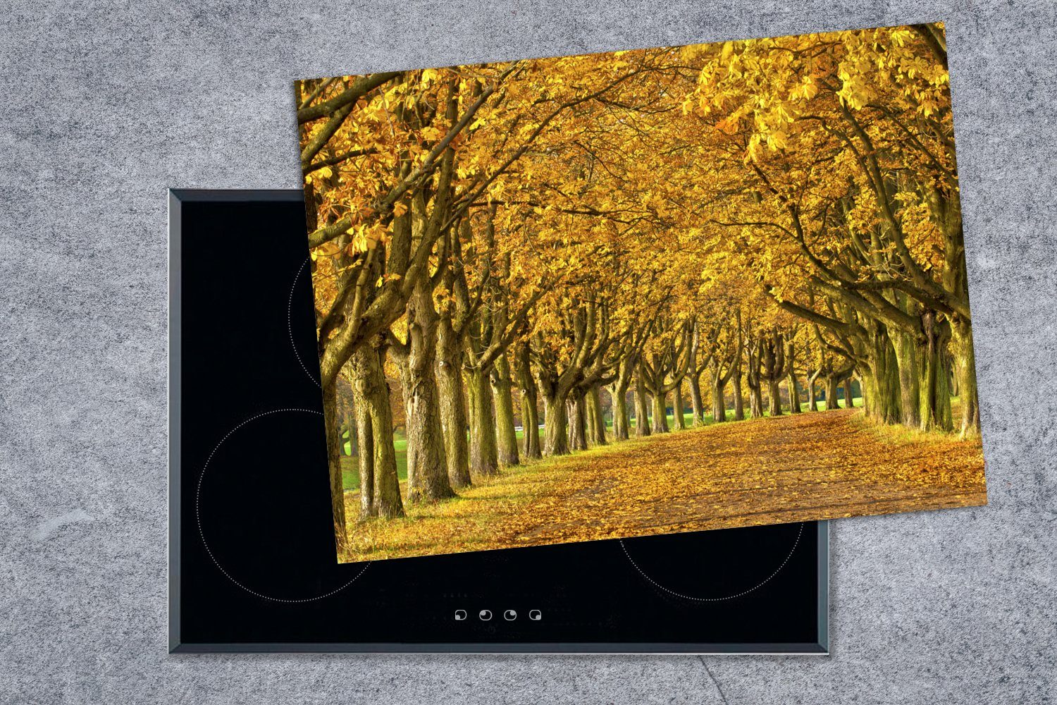 MuchoWow Herdblende-/Abdeckplatte Viele Kastanienbäume im Deutschland, tlg), (1 Vinyl, Ceranfeldabdeckung 70x52 nutzbar, cm, Arbeitsfläche Mobile europäischen