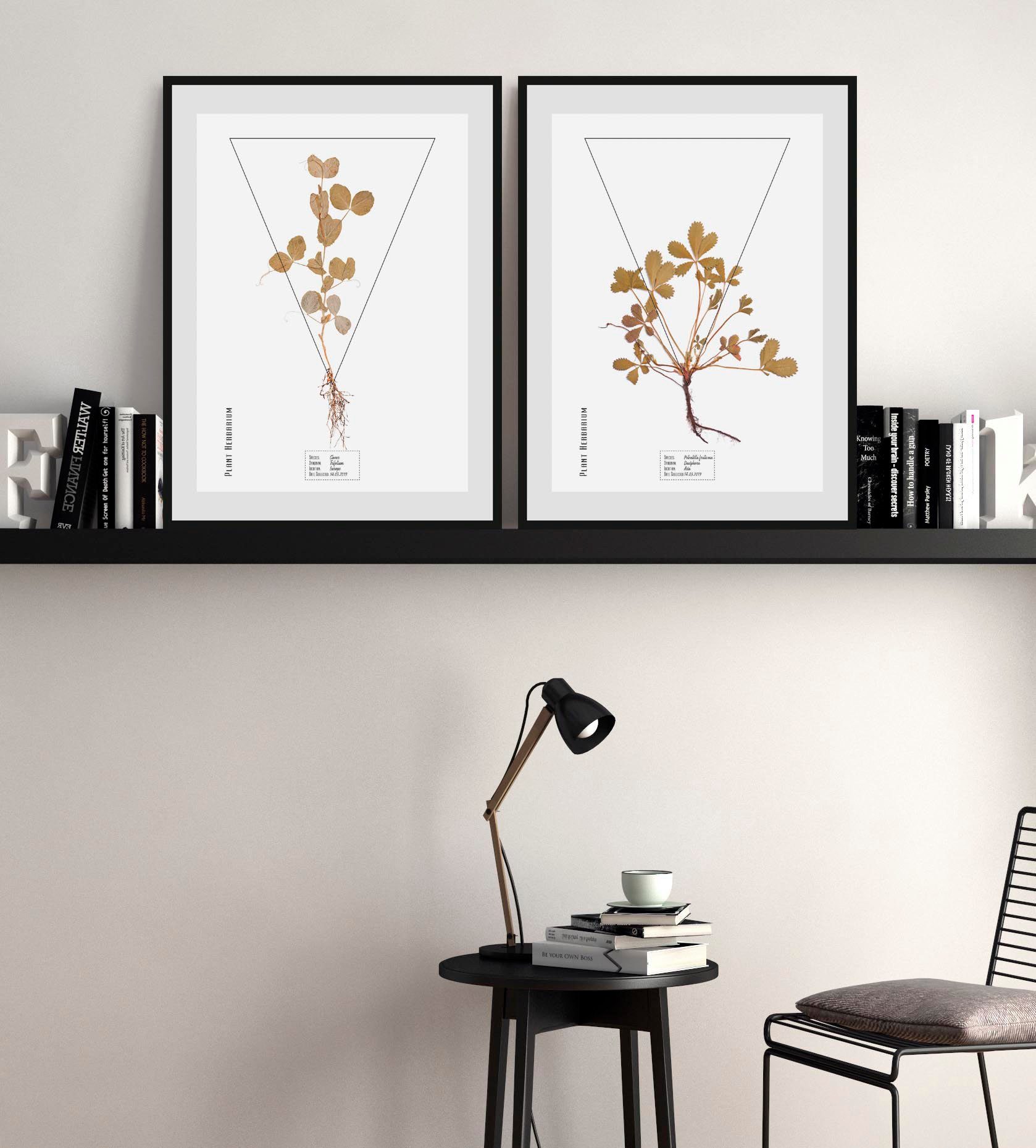 queence Bild Potentilla fruticosa, Pflanzen, Pflanzenbilder, Schriftzug (1 günstig online kaufen