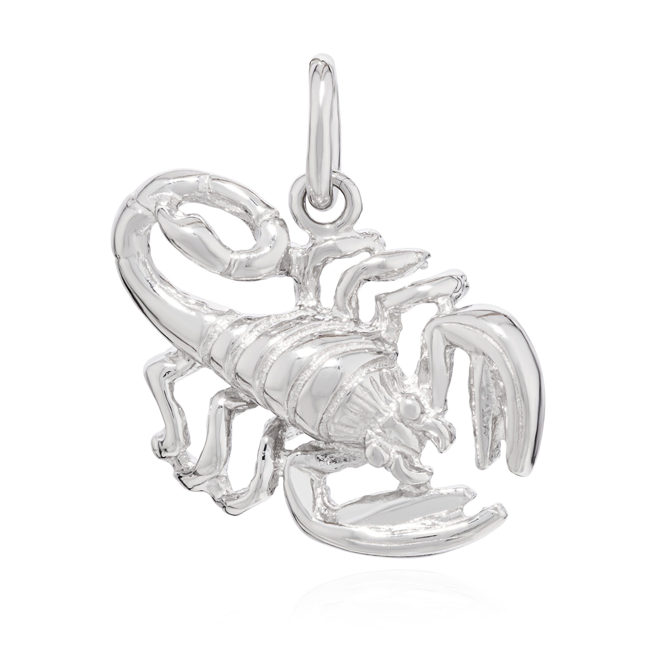 Kettenanhänger Silber Anhänger Scorpion Kettenanhänger Sternzeichen NKlaus Zodiac 925 glanz