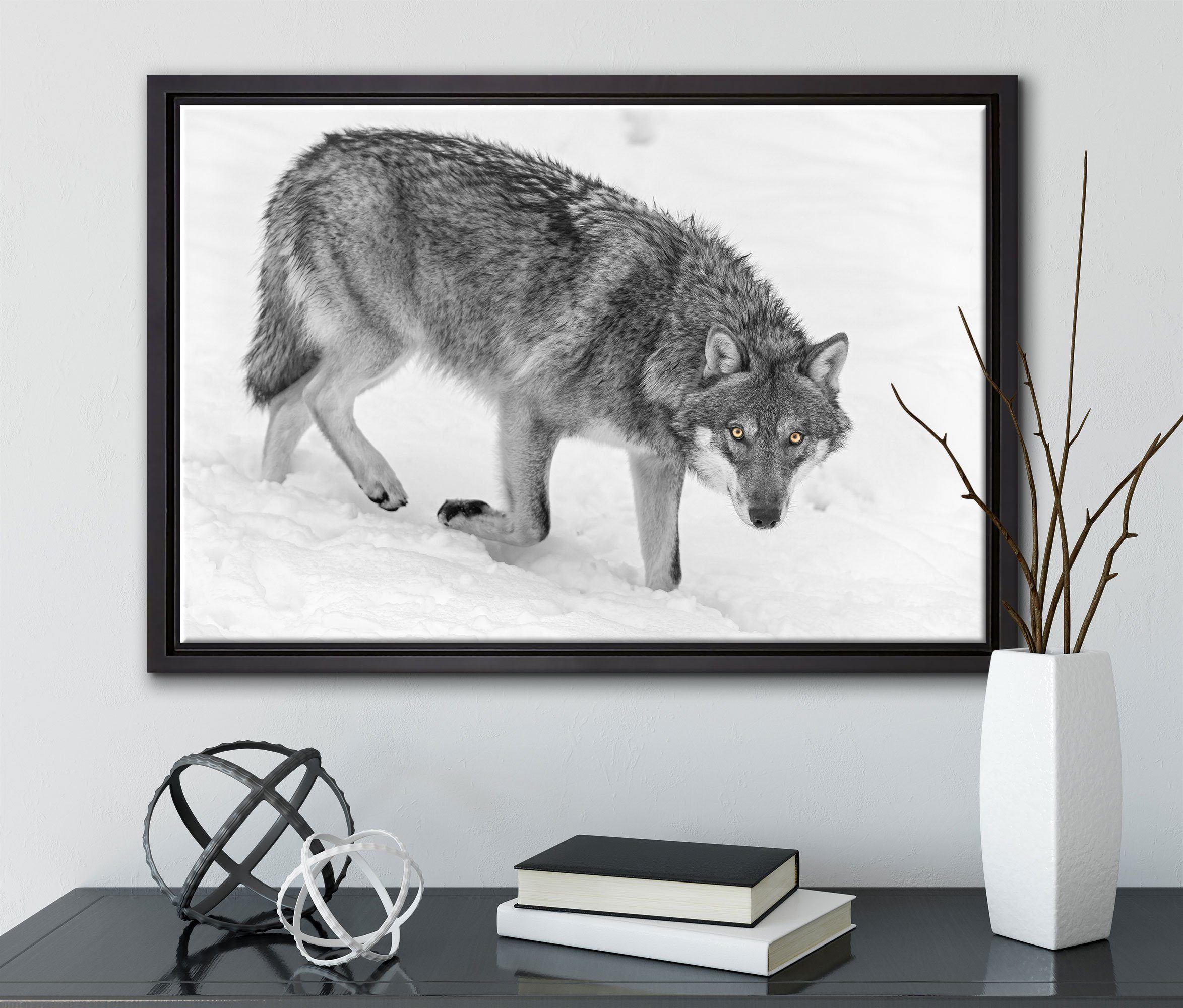 Schnee, Wolf Pixxprint inkl. seltener Leinwandbild gefasst, St), bespannt, Wanddekoration einem fertig im Schattenfugen-Bilderrahmen Leinwandbild (1 Zackenaufhänger in