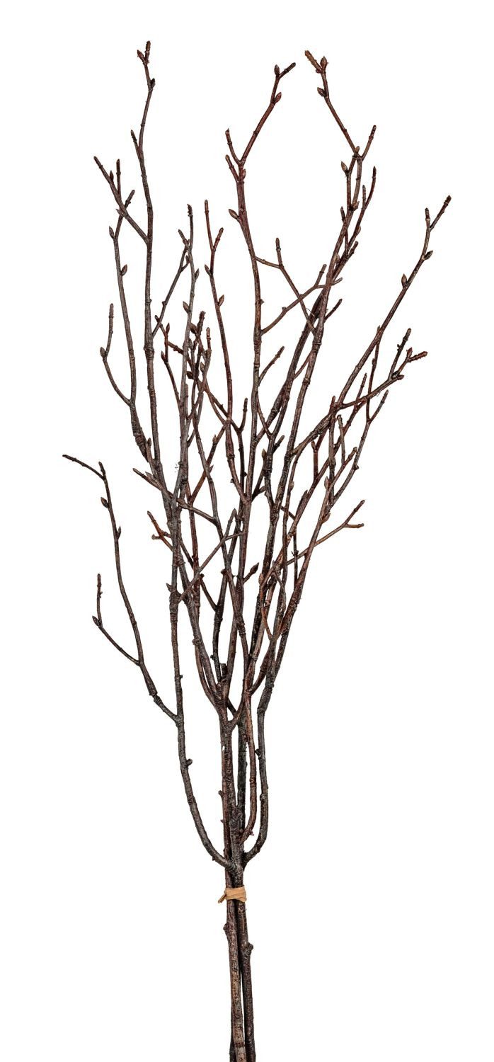 Kunstzweig Kunstblumen, formano, Höhe 74 cm, Höhe: 74cm, Farbe: Braun, Motiv: Zweige