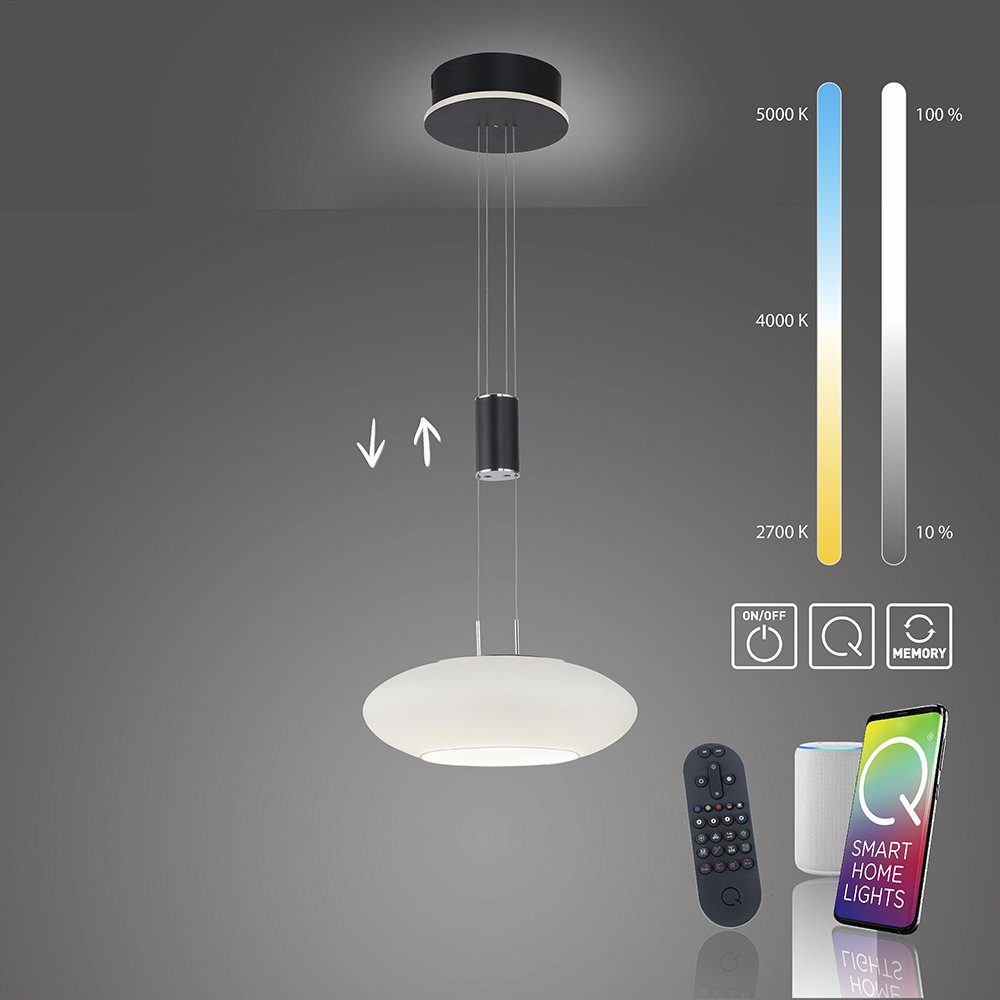 Paul Neuhaus Smarte LED-Leuchte LED Pendellampe Q ETIENNE Smart Home, Smart Home, CCT-Farbtemperaturregelung, RGB-Farbwechsel, Dimmfunktion, Memoryfunktion, mit Leuchtmittel, dimmbar Fernbedienung höhenverstellbar CCT Pendel schwarz