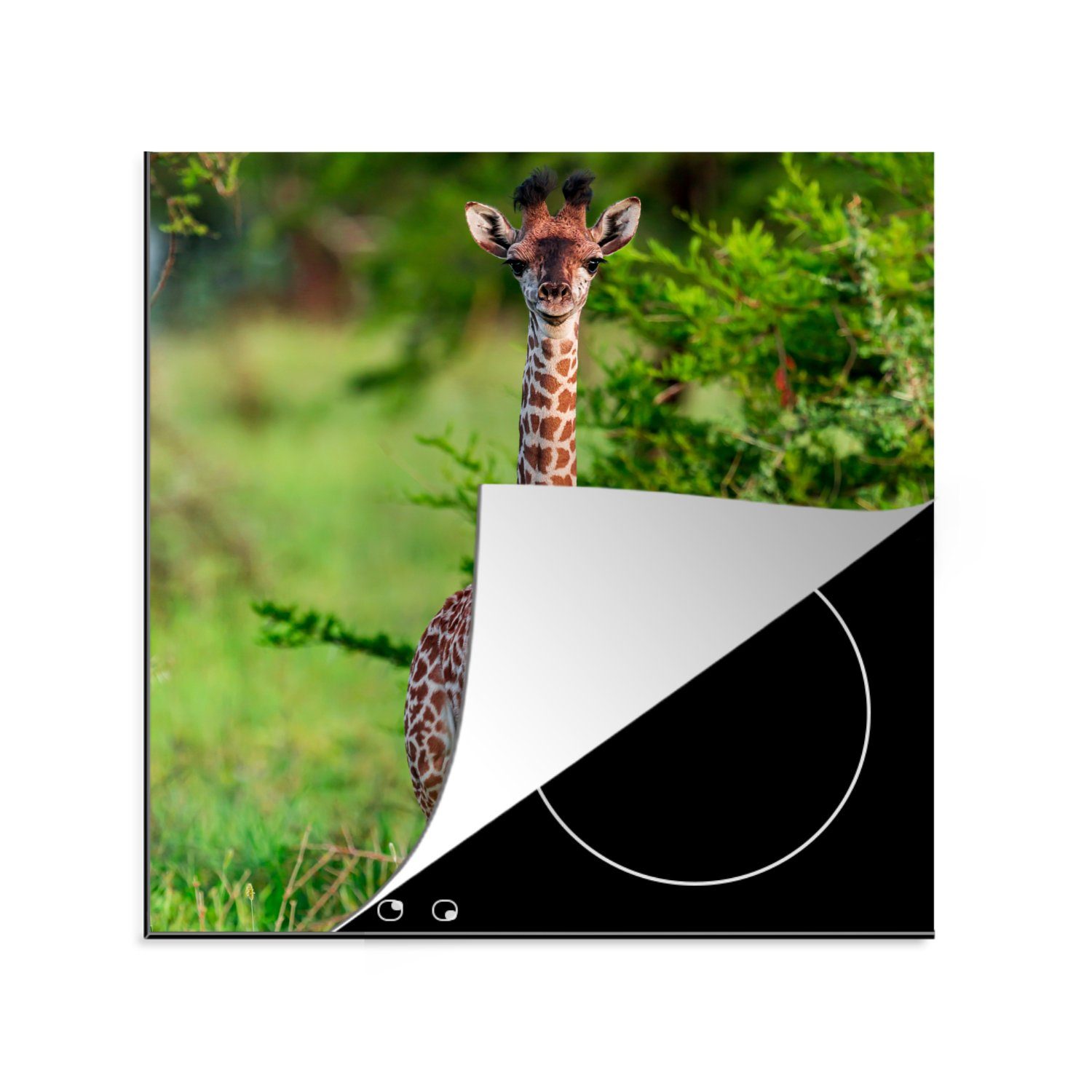 MuchoWow Herdblende-/Abdeckplatte Baby - Giraffe - Pflanzen, Vinyl, (1 tlg), 78x78 cm, Ceranfeldabdeckung, Arbeitsplatte für küche