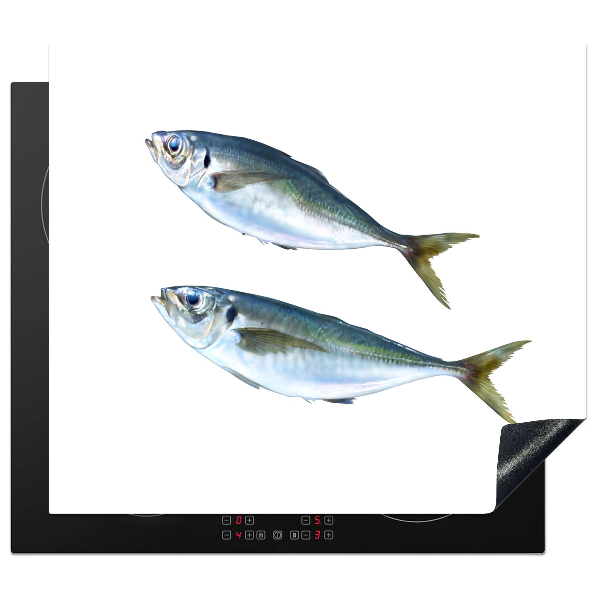 MuchoWow Herdblende-/Abdeckplatte Zwei frische Makrelen vor einem weißen Hintergrund, Vinyl, (1 tlg), 59x52 cm, Ceranfeldabdeckung für die küche, Induktionsmatte