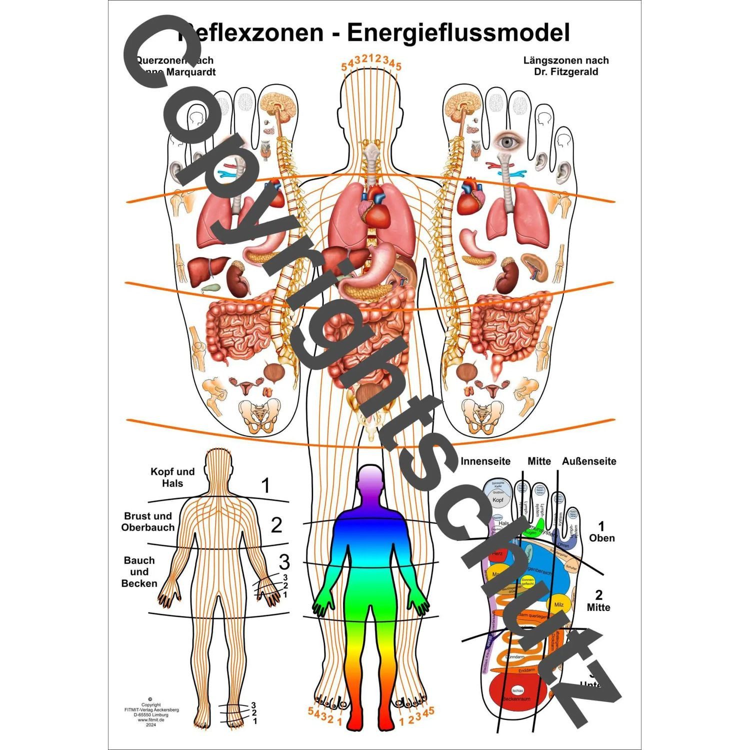 Poster Reflexzonen-Energiefluss