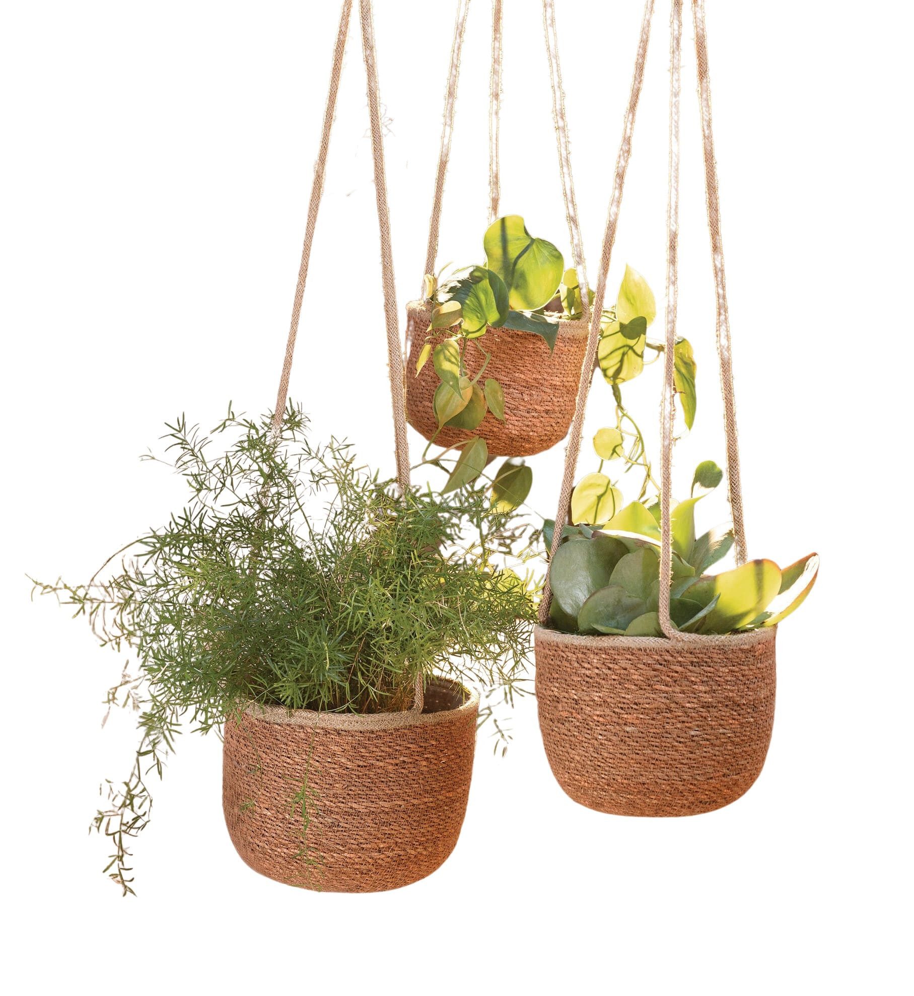 Dekoleidenschaft Blumenampel "Terra" Seegras Hängeampel Hängetopf für Pflanzen, Hängekorb (3 St., im Set), Hängepflanzen Topf, Hängeblumentopf, Hängekorb, Pflanzenhänger