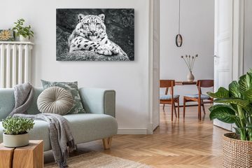 Sinus Art Leinwandbild 120x80cm Wandbild auf Leinwand Schneeleopard Schwarz Weiß Tierfotograf, (1 St)