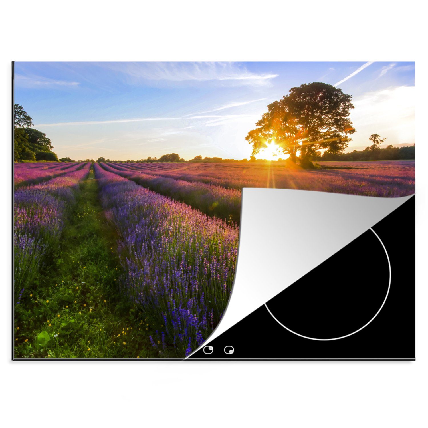 MuchoWow Herdblende-/Abdeckplatte Sonnenuntergang durch Baum auf Lavendelfeld, Südostengland, UK, Vinyl, (1 tlg), 70x52 cm, Mobile Arbeitsfläche nutzbar, Ceranfeldabdeckung