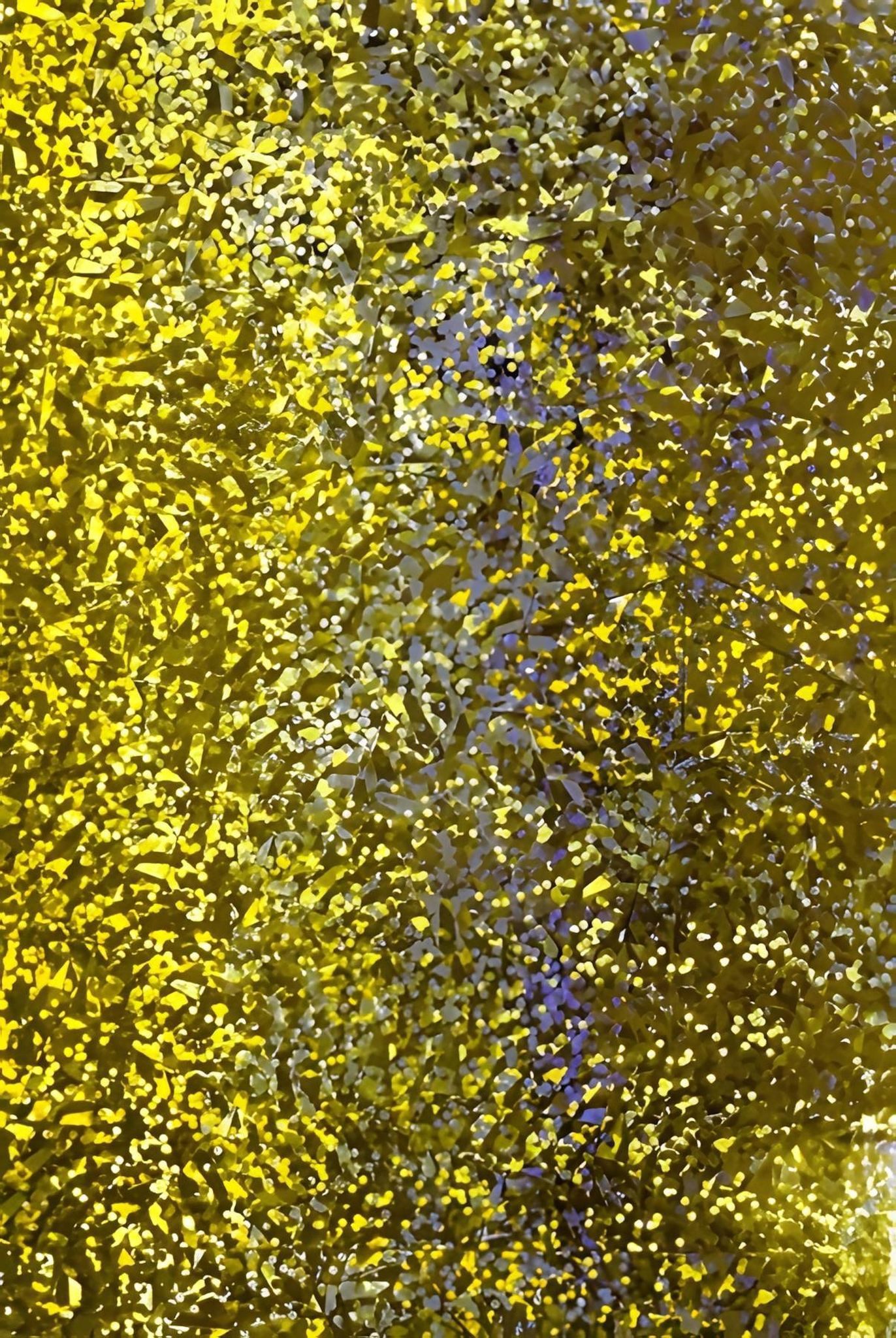 Heyda Schaumgummi HEYDA 204007191 Holografie-Klebefolie 50 x100 cm goldfarben