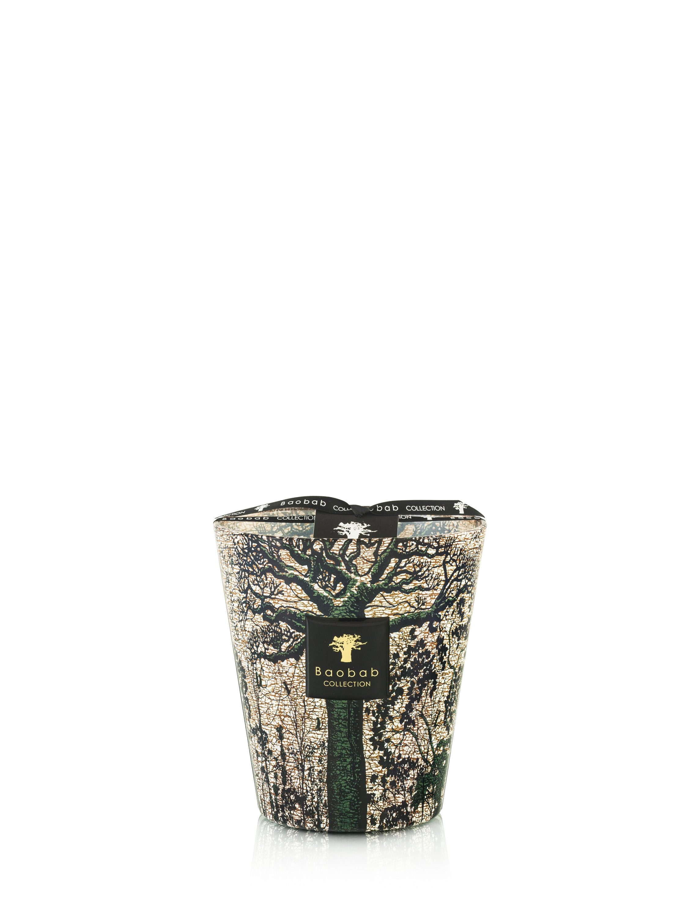 Baobab Duftkerze Baobab Duftkerze Max 16 Sacred Trees Kani
