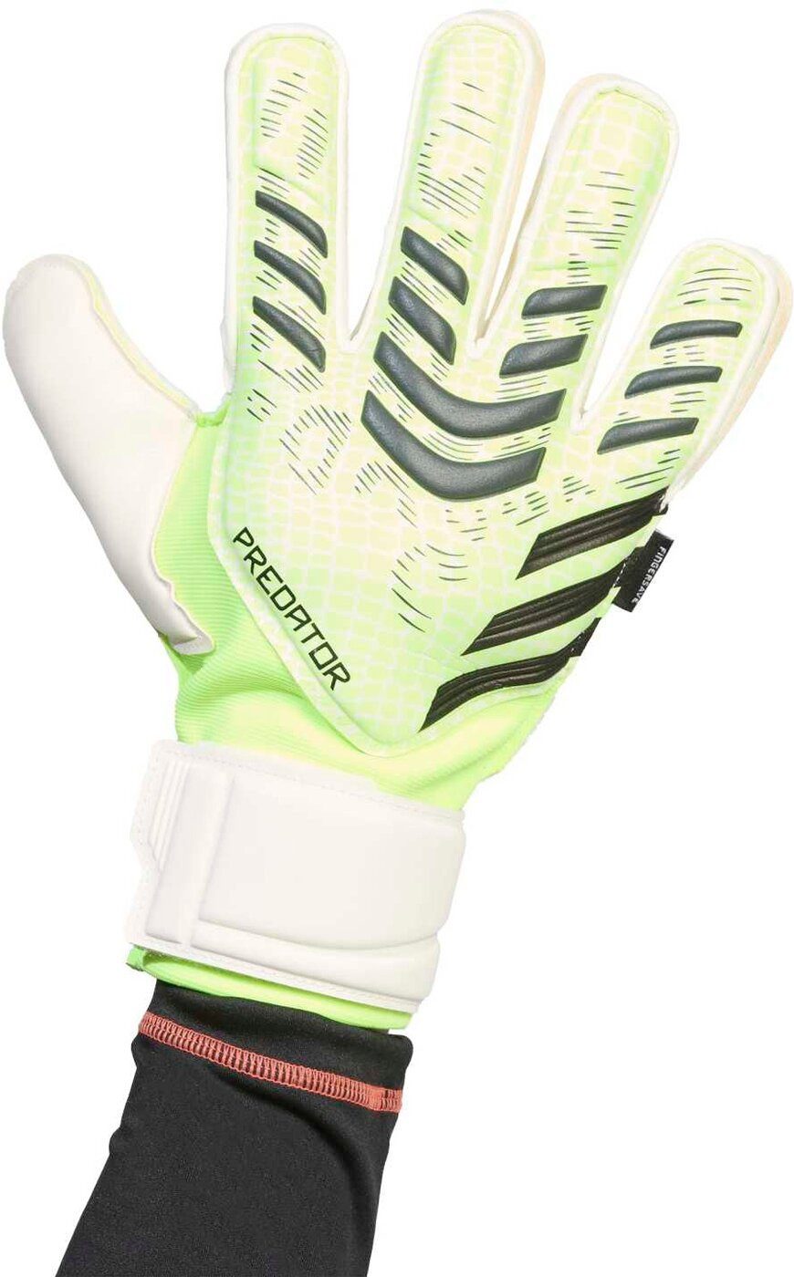 adidas Sportswear Torwarthandschuhe PRED GL MTC FS LUCLEM/BLACK/PURRUS günstig online kaufen