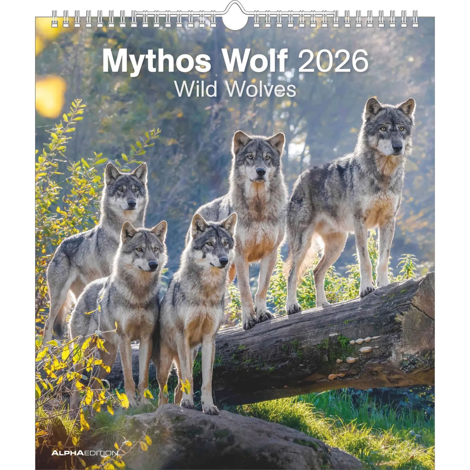 NEUMANN Wandkalender Mythos Wolf 2026 - Foto-Kalender - Wand-Kalender - 30x34