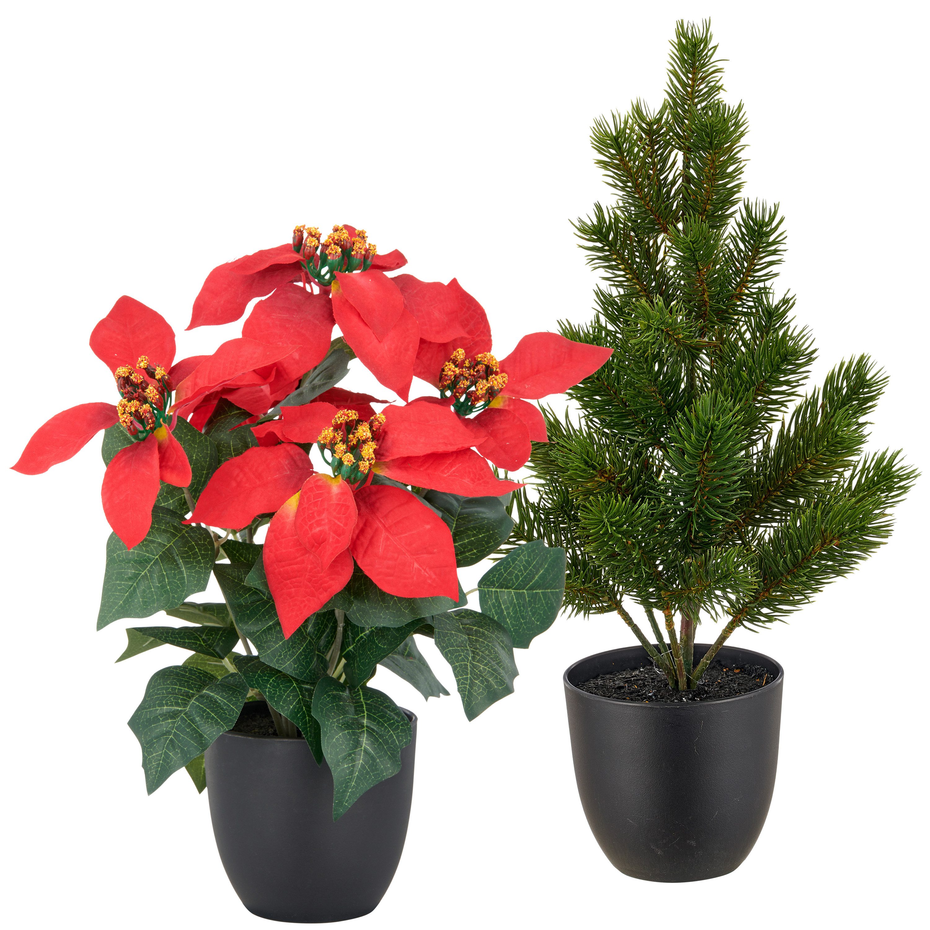 Winterliche Kunstpflanze Set aus Weihnachtsstern und Tannenbäumchen, im Übertopf, OTTO home, Höhe 43 cm, in naturgetreuer Ausführung