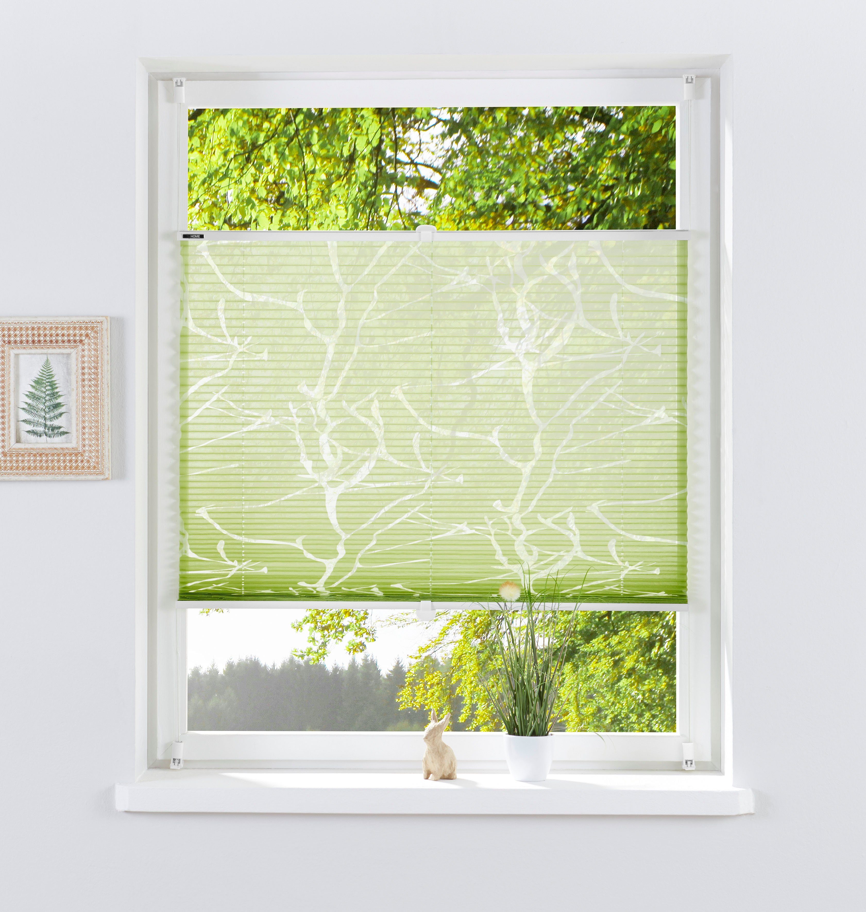 my home Plissee Anna, Lichtschutz, ohne Bohren, verspannt, Klemmfix, Ästemo günstig online kaufen