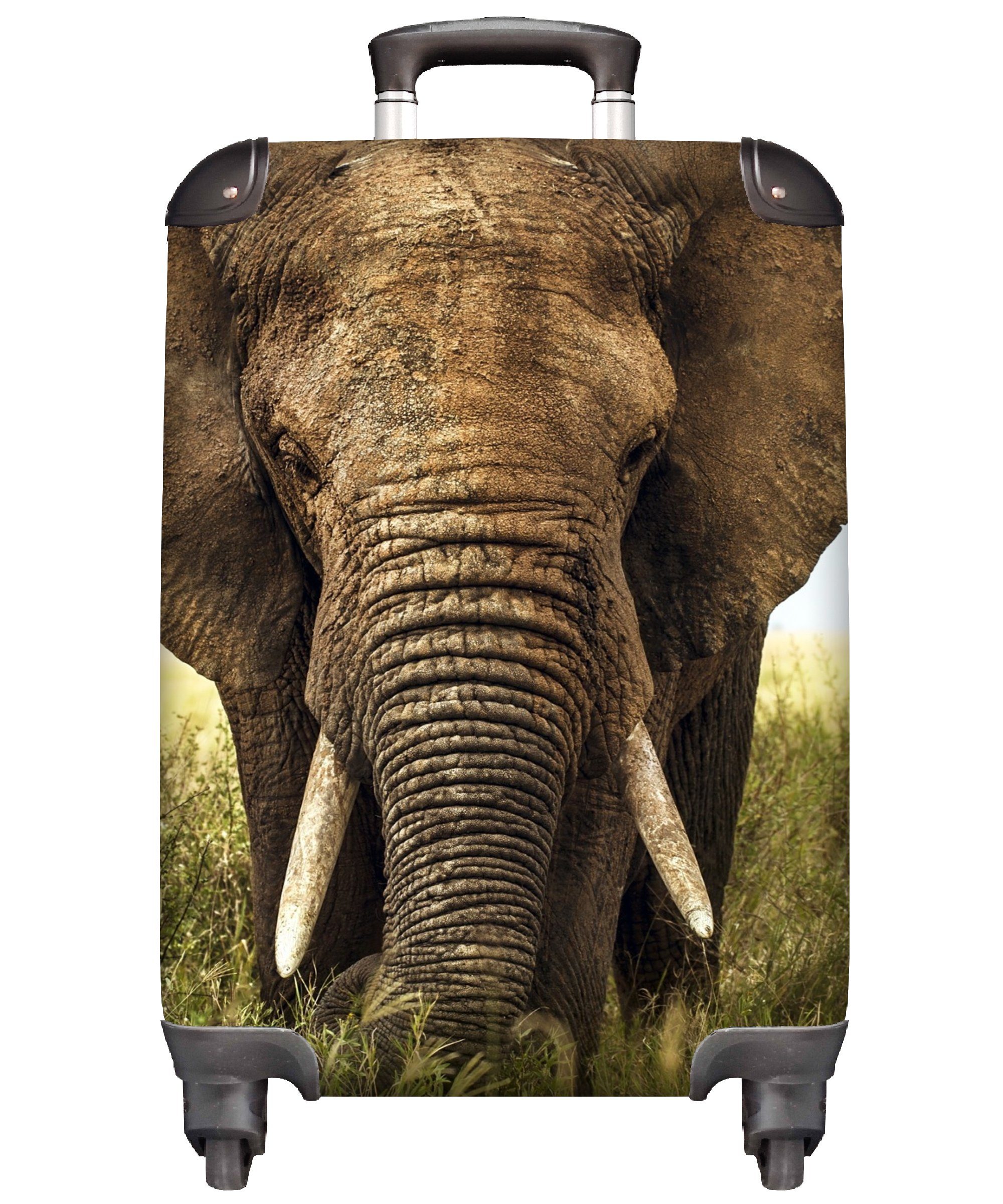 MuchoWow Handgepäckkoffer Elefant - Gras - Tiere - Natur, 4 Rollen, Reisetasche mit rollen, Handgepäck für Ferien, Trolley, Reisekoffer