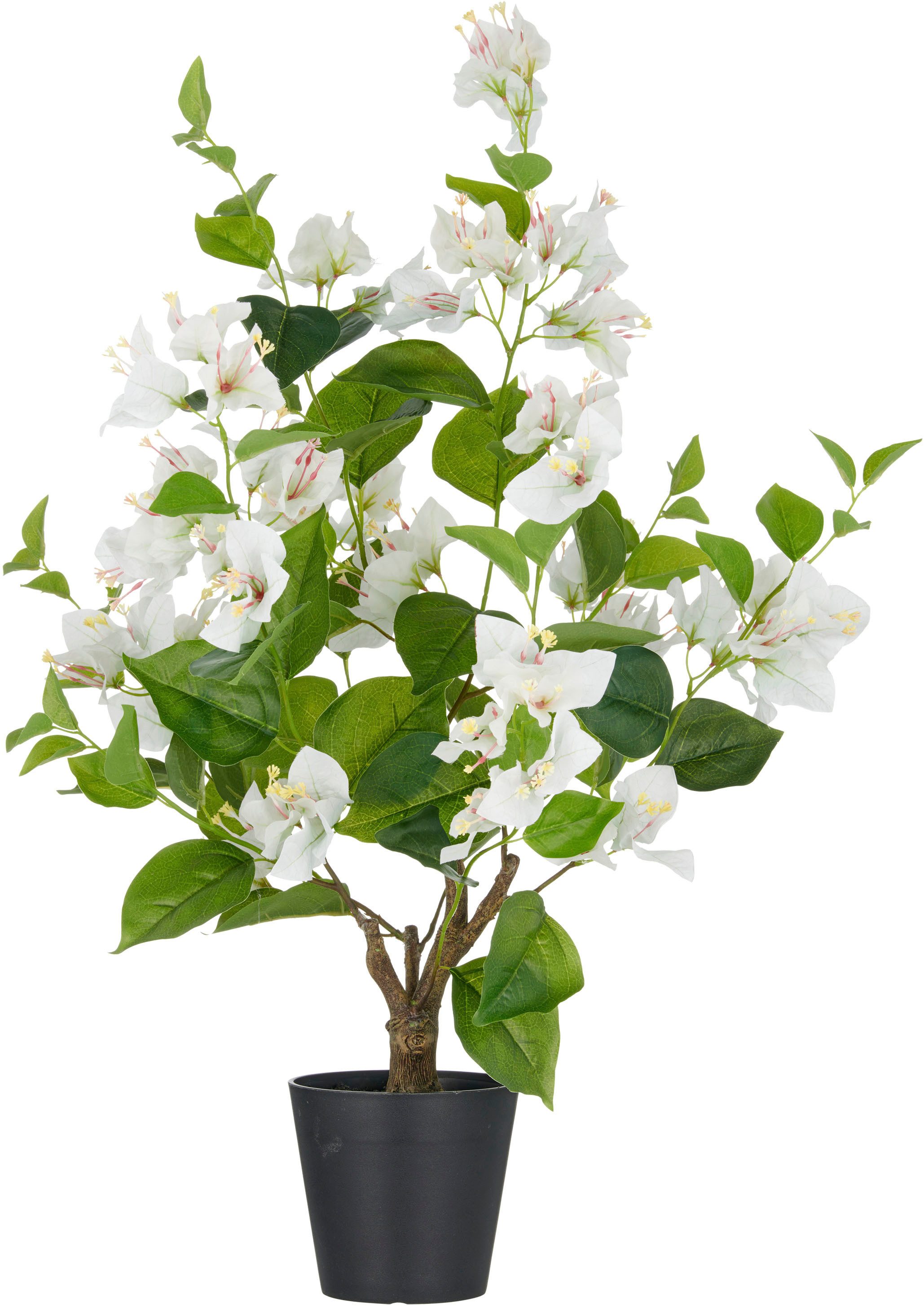 Kunstpflanze Bougainvillea, Creativ green, Höhe 68 cm, mit zahlreichen Blüten