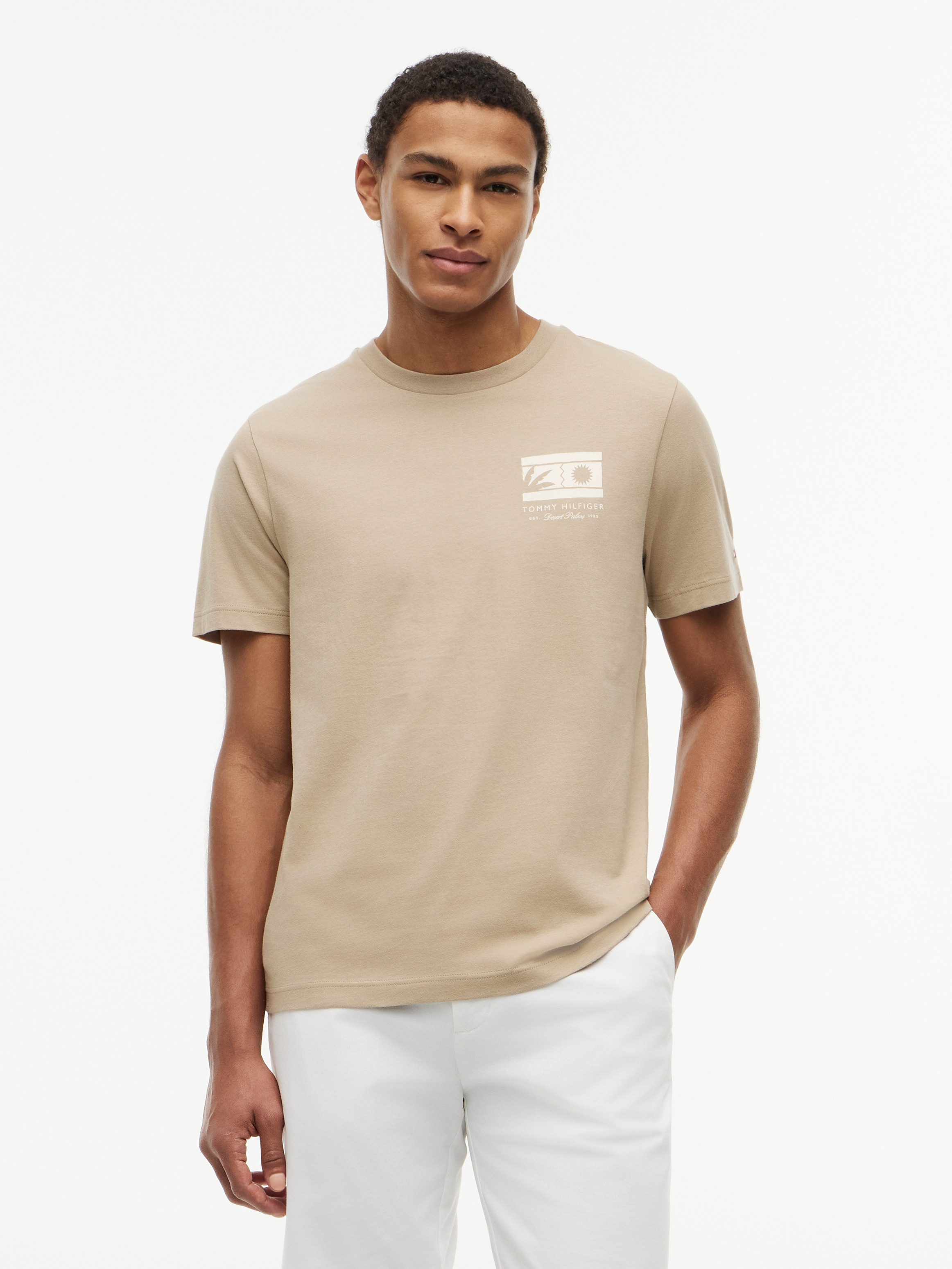 Tommy Hilfiger T-Shirt MONO SUN GRAPHIC REGULAR TEE aus Jersey mit Logo-Grafik