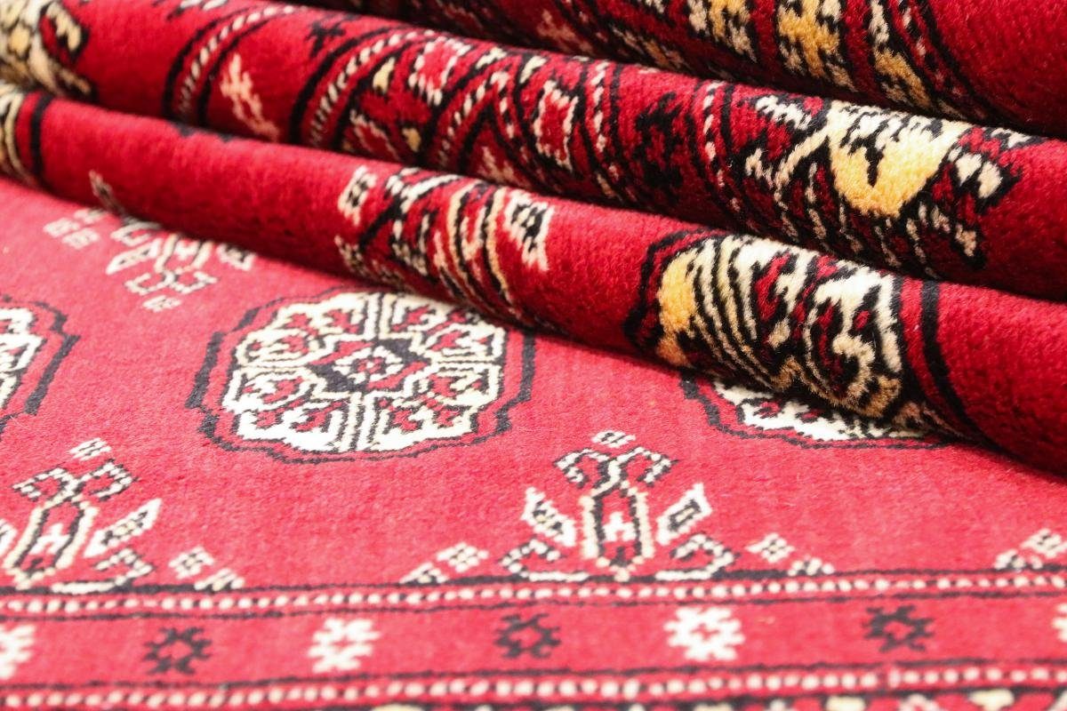 Orientteppich Pakistan Buchara 3ply Höhe: Trading, Nain mm Handgeknüpfter Orientteppich, 8 207x308 rechteckig