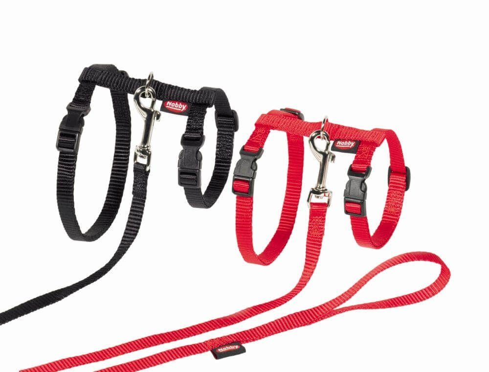 Nobby Katzen-Halsband