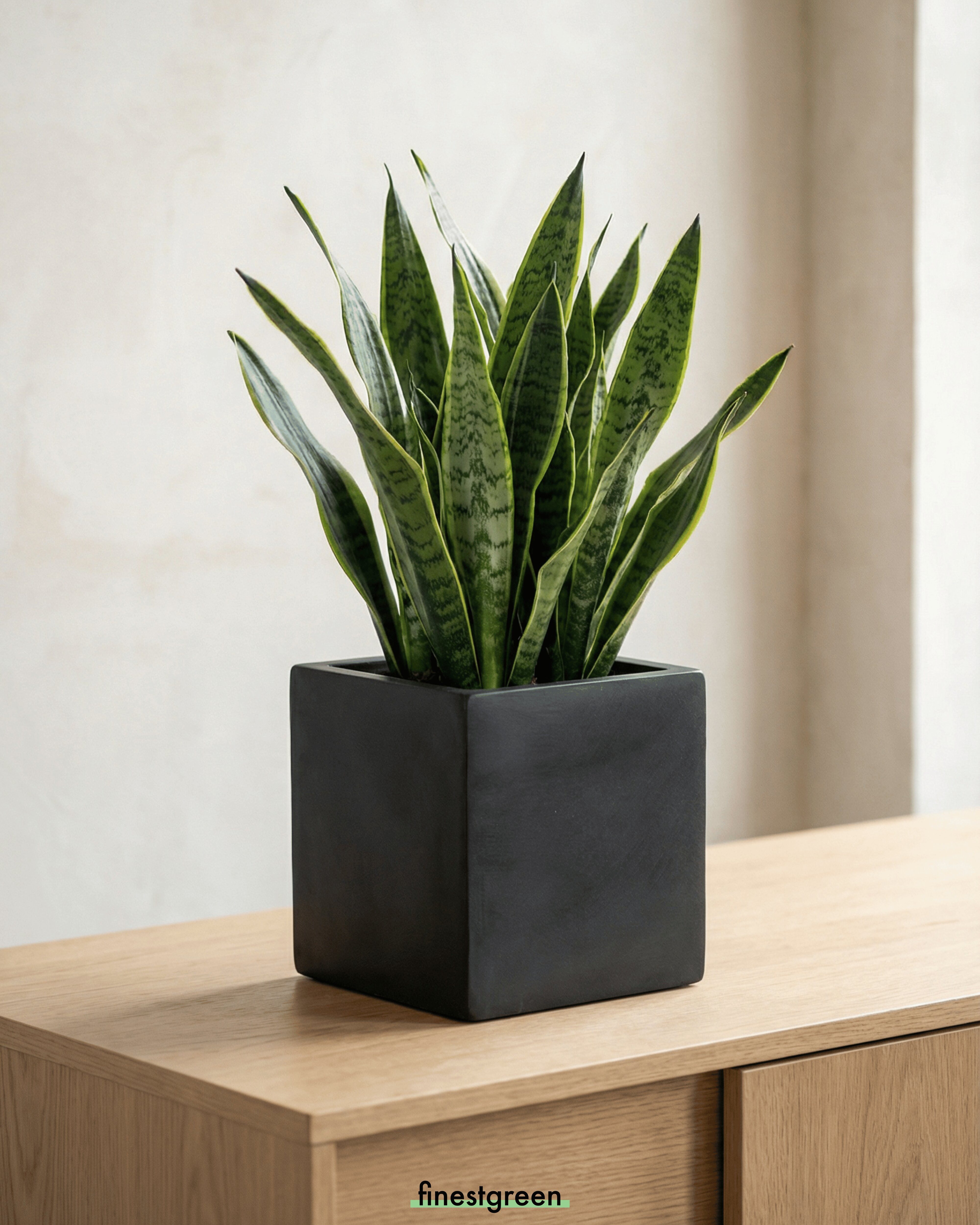 finestgreen Pflanzkübel Mini Block, Fiberstone Pflanzkübel frostbeständig für Innen & Außen