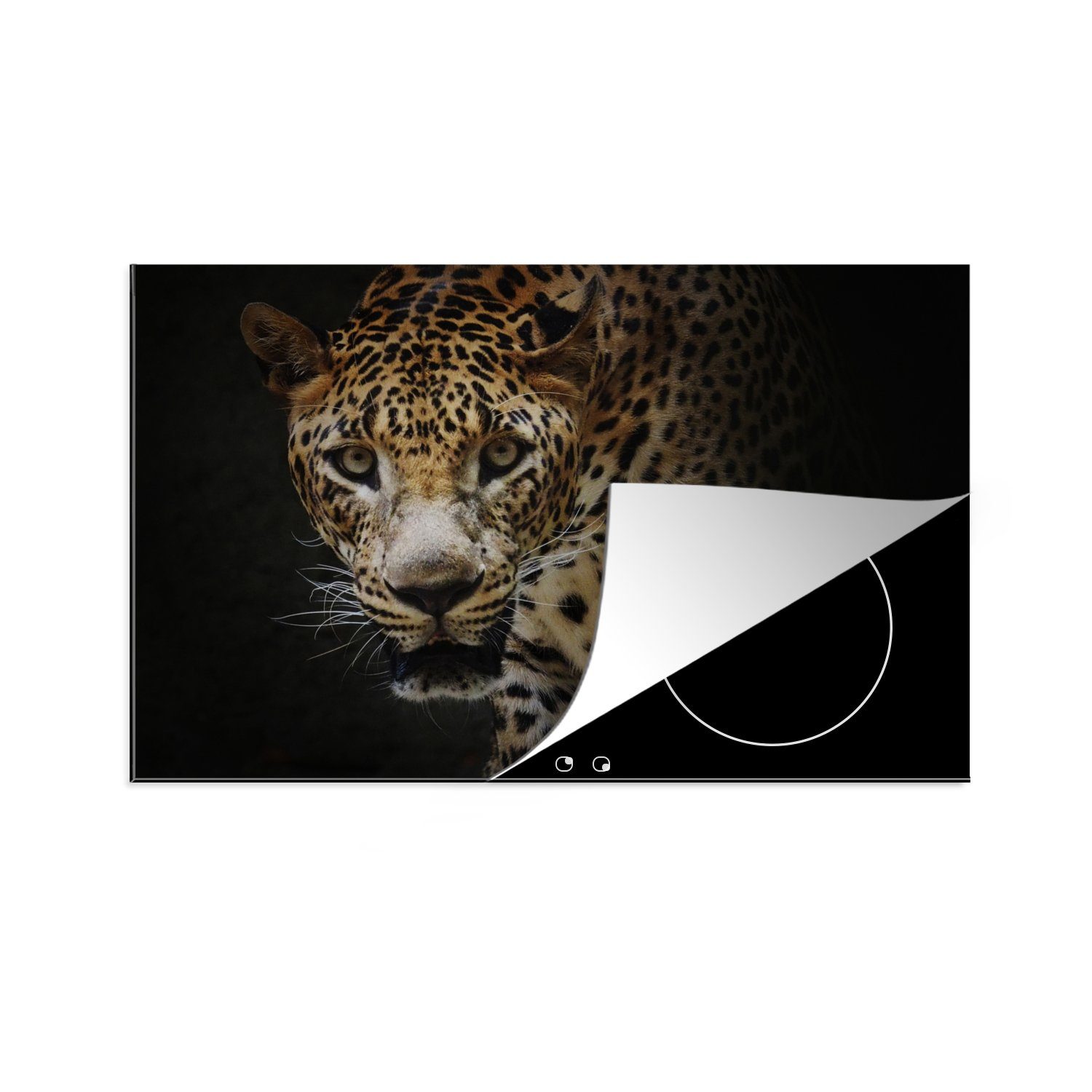 Induktionskochfeld Ceranfeldabdeckung Tiere die für tlg), Licht, (1 Schutz küche, - Leopard Wilde 81x52 Vinyl, MuchoWow Herdblende-/Abdeckplatte cm, -
