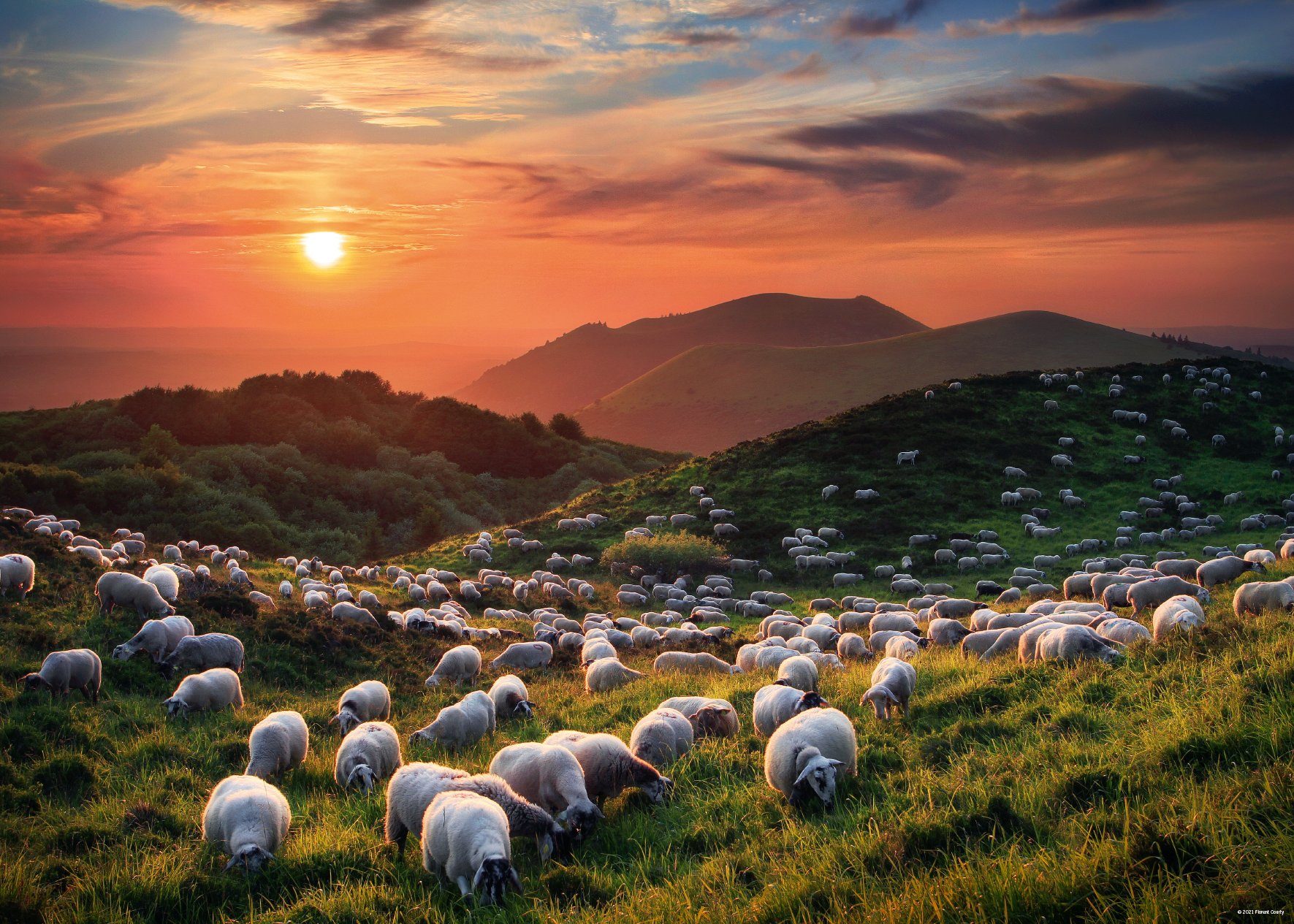HEYE Puzzle Sheep and Volcanoes /AvH, günstig online kaufen