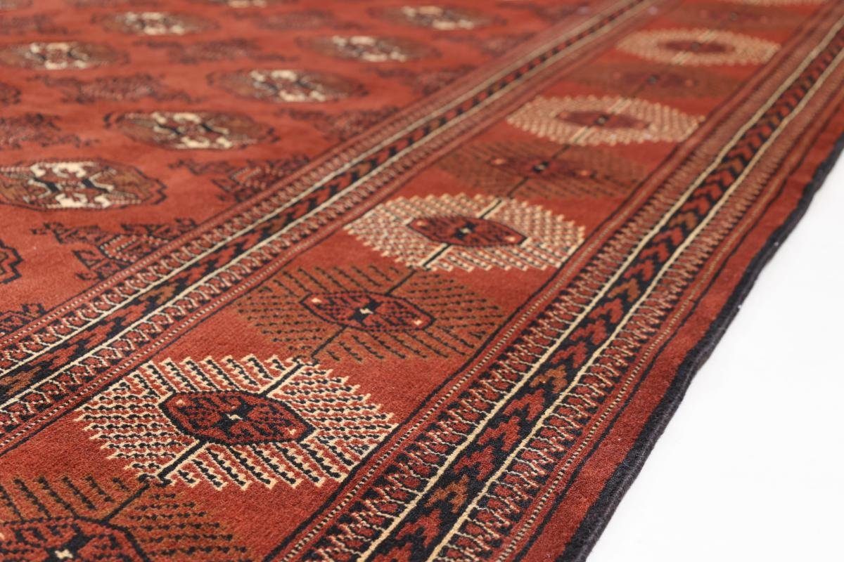 Orientteppich Turkaman 245x367 rechteckig, Handgeknüpfter mm 6 Höhe: Perserteppich, / Orientteppich Trading, Nain