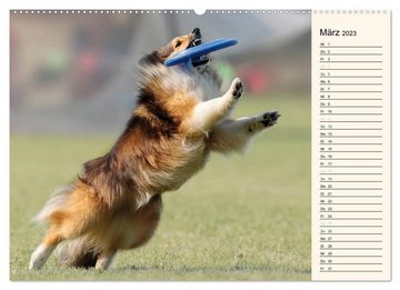 CALVENDO Wandkalender HUNDESPORT - Agility und Dog Frisbee (Premium, hochwertiger DIN A2 Wandkalender 2023, Kunstdruck in Hochglanz)