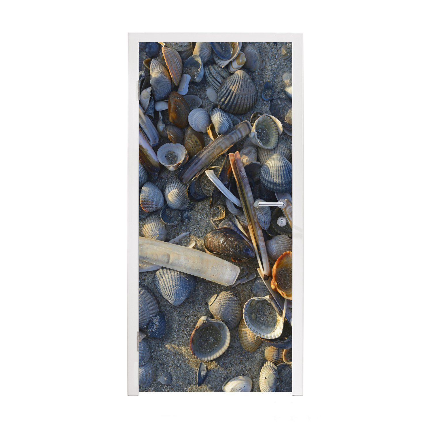 MuchoWow Türtapete Muscheln am Strand Vlieland, Matt, bedruckt, (1 St), Fototapete für Tür, Türaufkleber, 75x205 cm