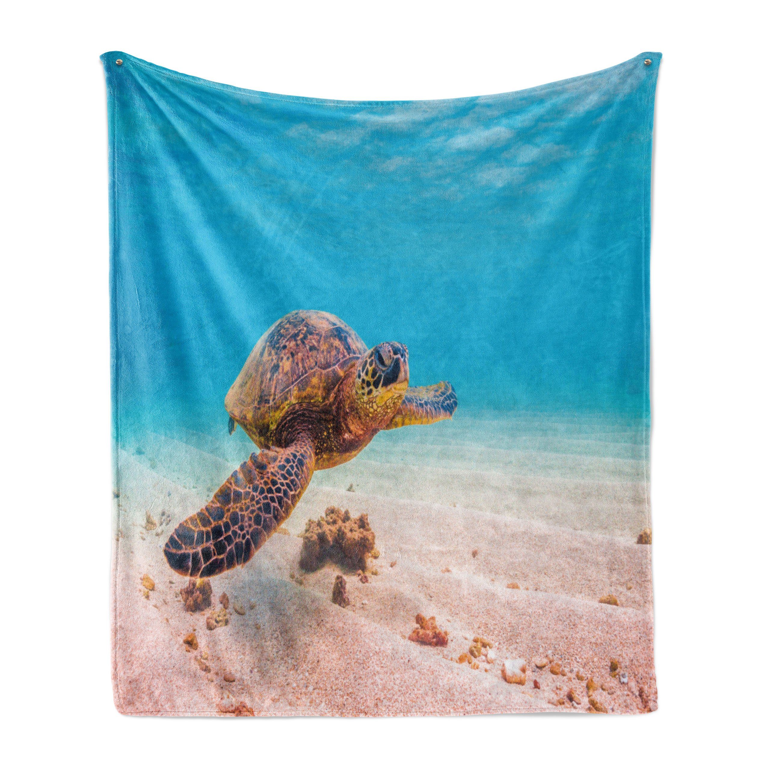 Wohndecke Gemütlicher Plüsch für den Underwater Innen- Sea Turtle und Abakuhaus, Außenbereich, hawaiisch