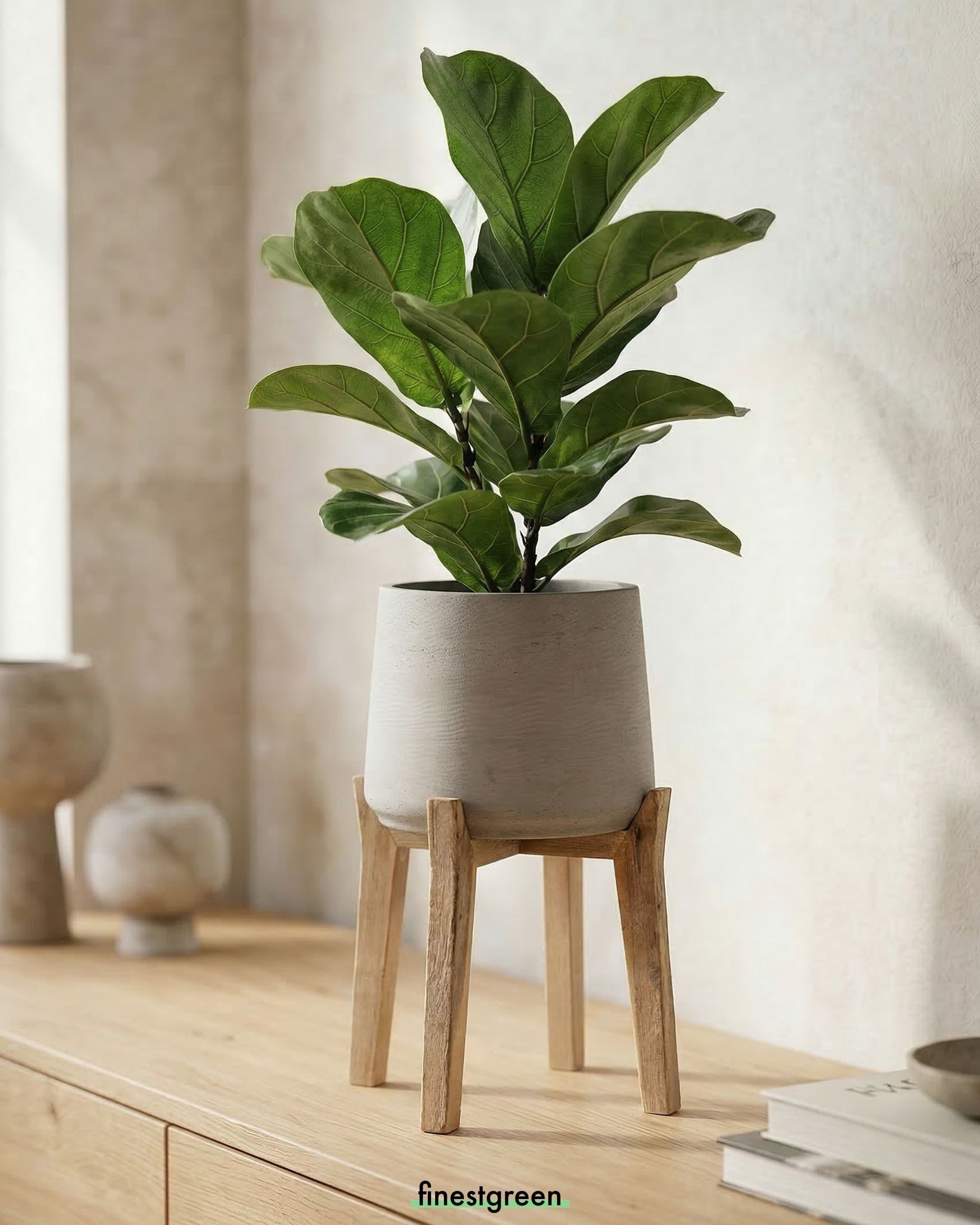 finestgreen Pflanzkübel Patt Feet High, Fiberclay Pflanzkübel mit Holzfüßen günstig online kaufen