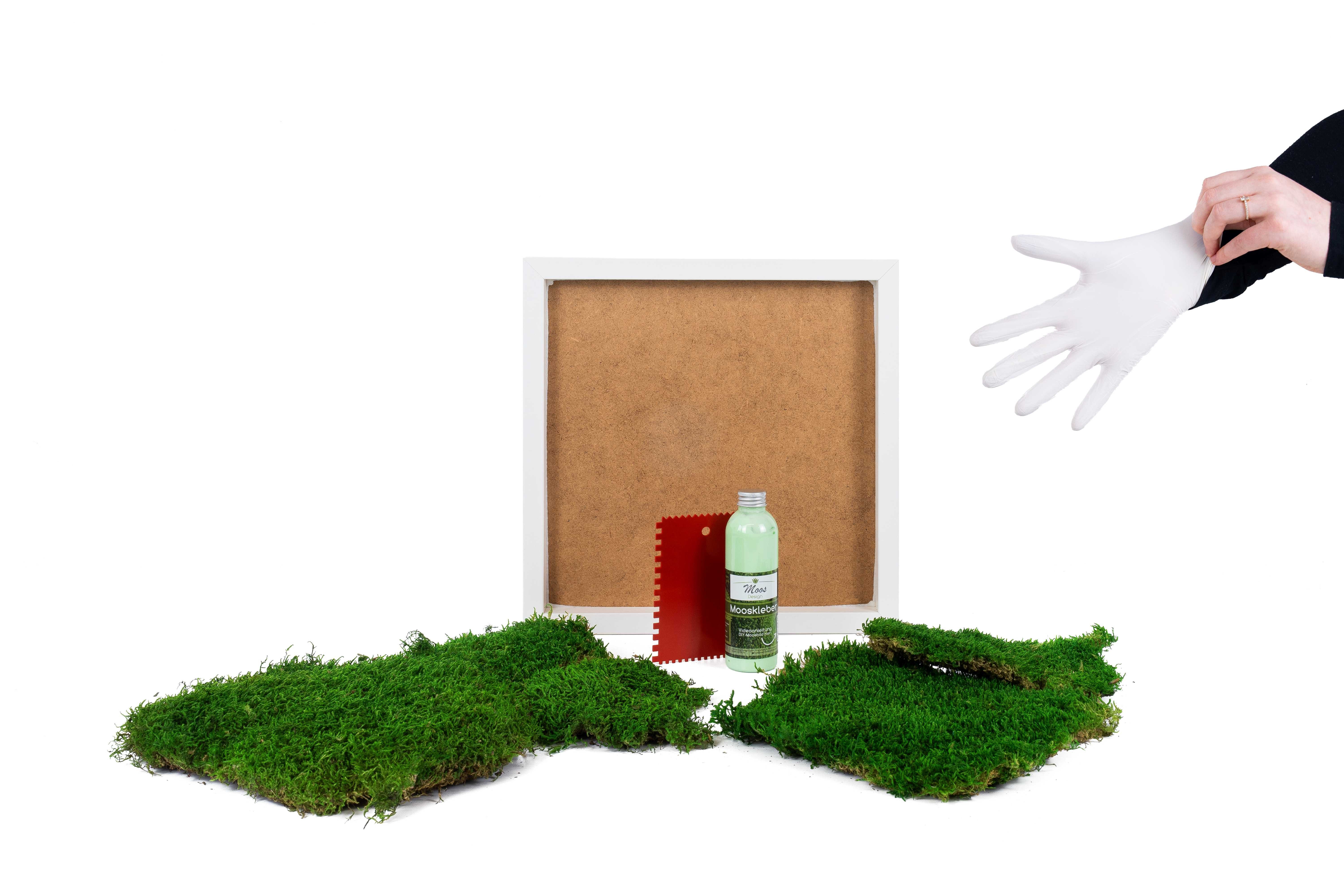 Moos-Design Bild DIY-Moosbilder mit 100 % Flachmoos