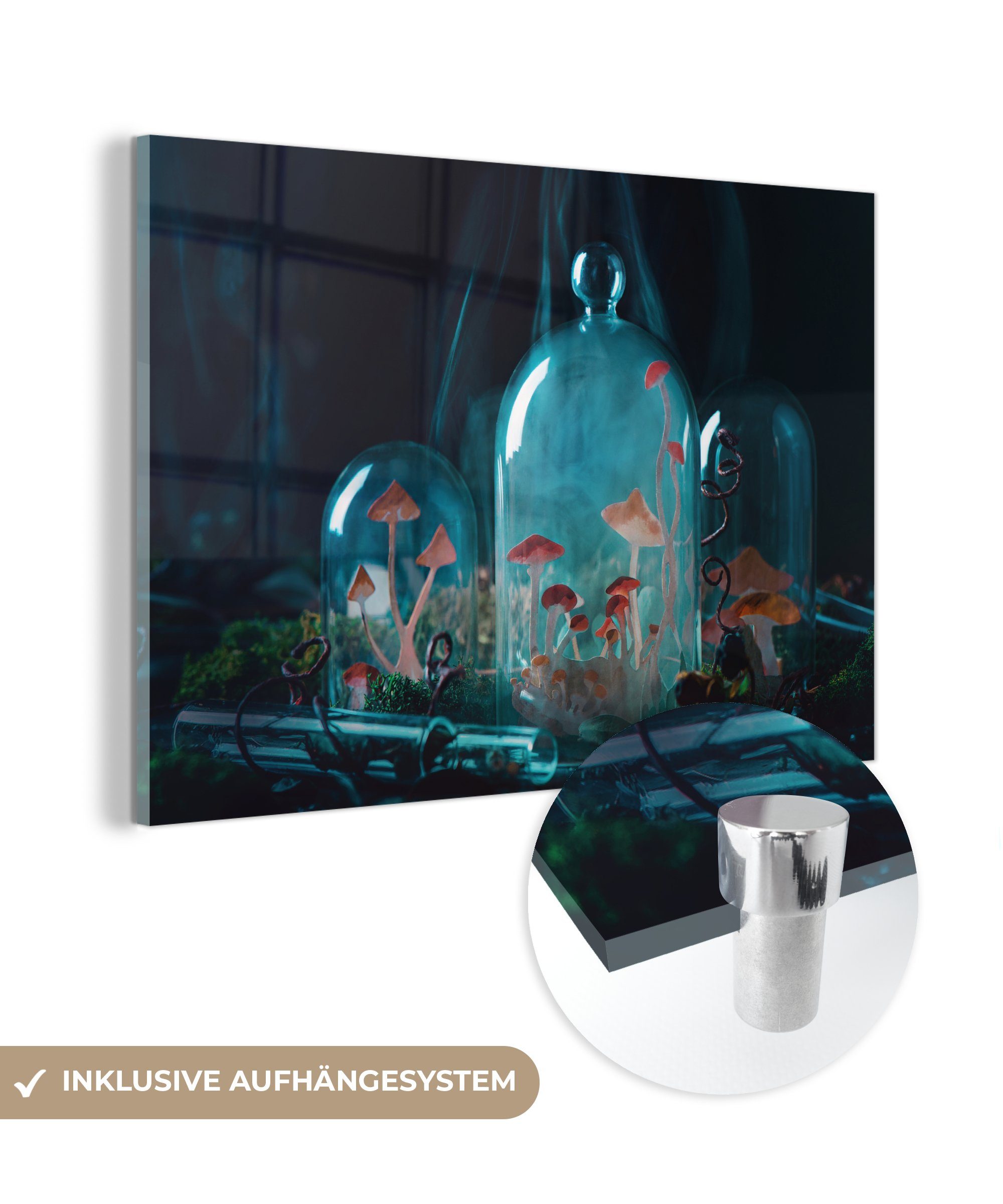 MuchoWow Acrylglasbild Pilze in der Kuppel, (1 St), Acrylglasbilder Wohnzimmer & Schlafzimmer