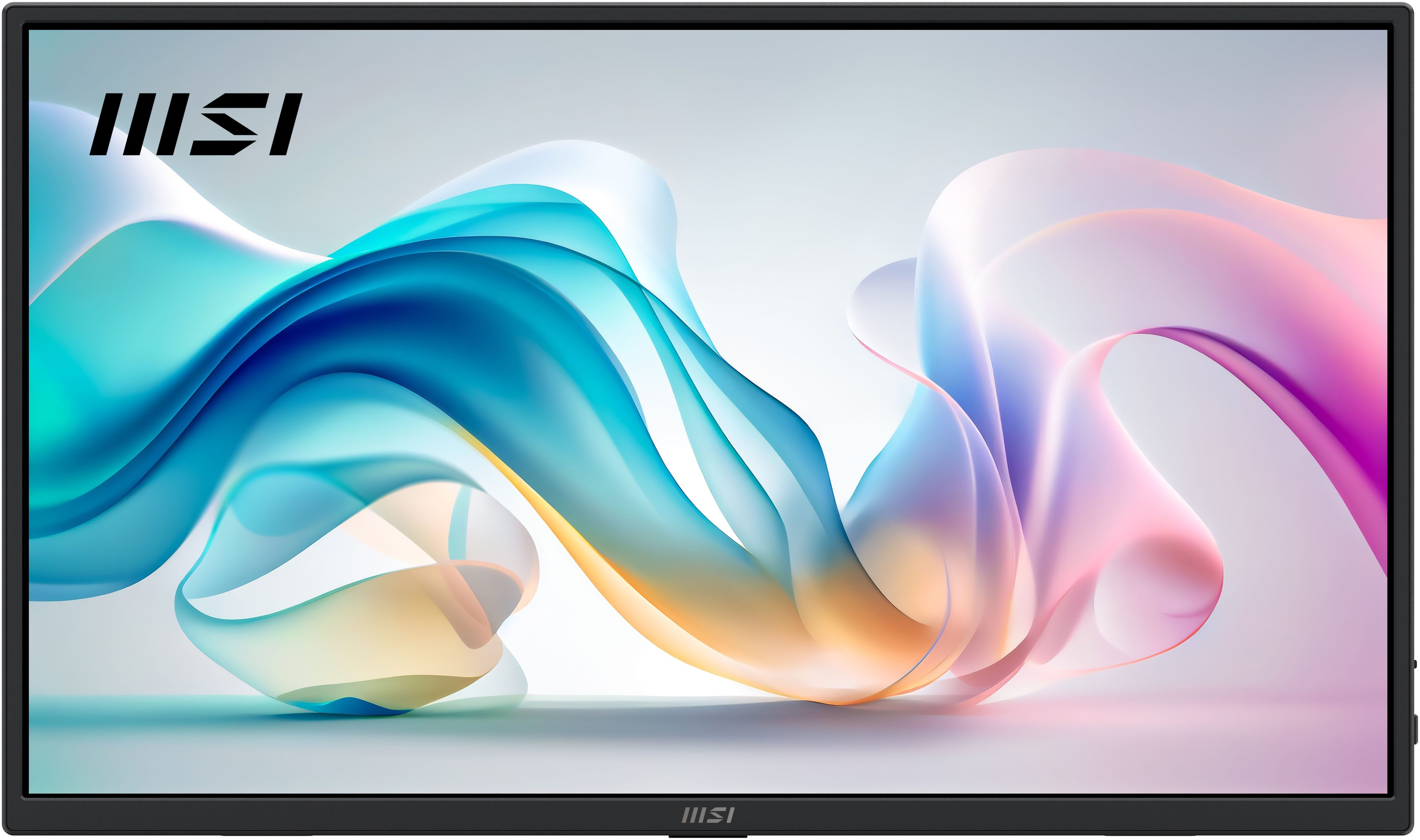 MSI PRO MP165 E6 Portabler Monitor (40 cm/16 ", 1920 x 1080 px, Full HD, 4 ms Reaktionszeit, 60 Hz, IPS)