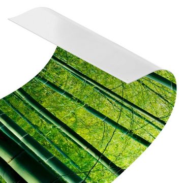 Bilderdepot24 Küchenrückwand grün dekor 3D-Optik Bäume Wald Natur Bambuswald Wandverkleidung Küche, (1-tlg., Nischenrückwand - für Fliesenspiegel ohne Bohren - matt), Spritzschutz Rückwand Küche Herd - Folie selbstklebend versch. Größen