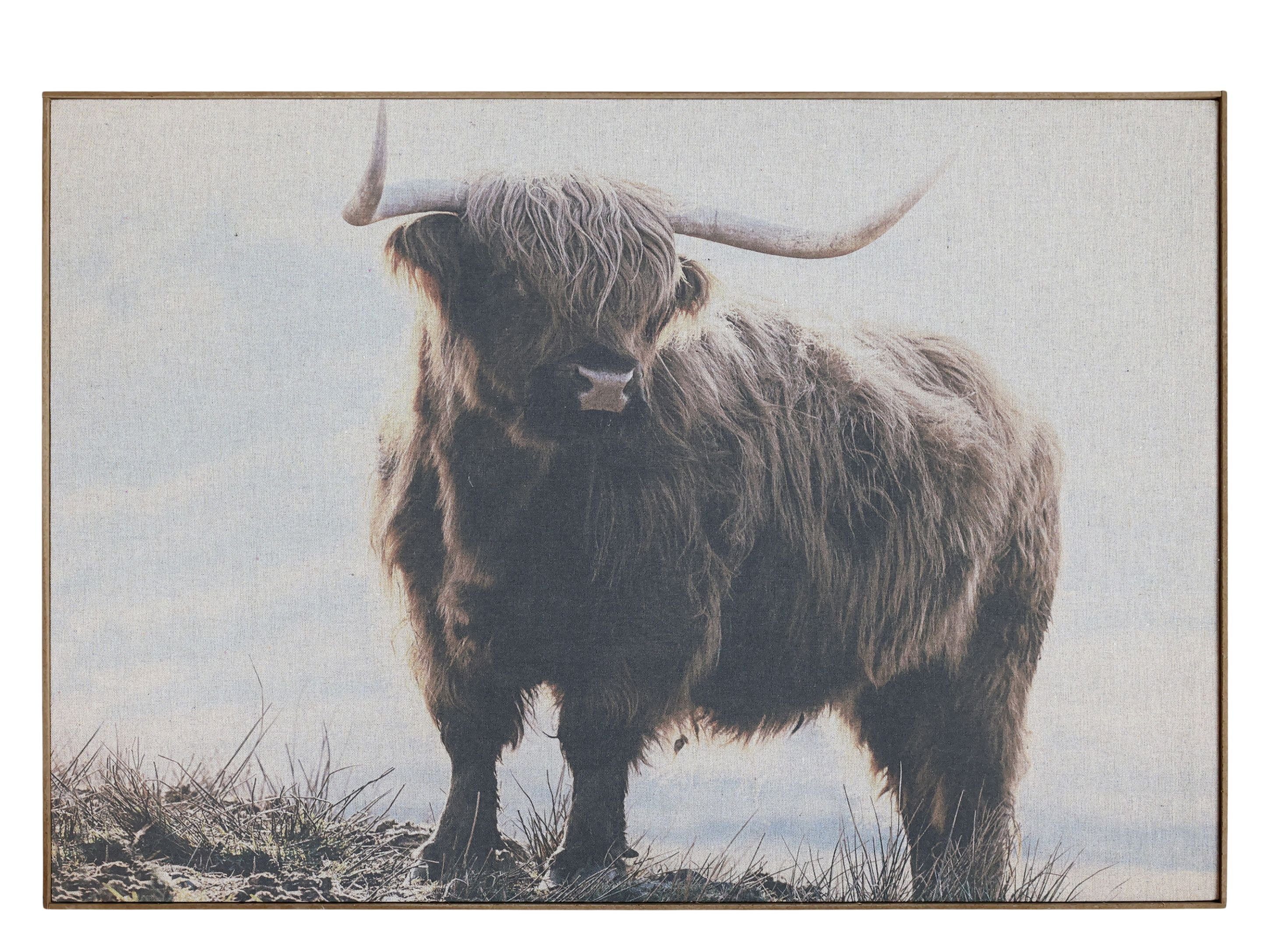 Chic Antique Wandbild Wandbild Bild Stier Leinwand Rahmen Holz Natur H53xL77cm Chic Antique