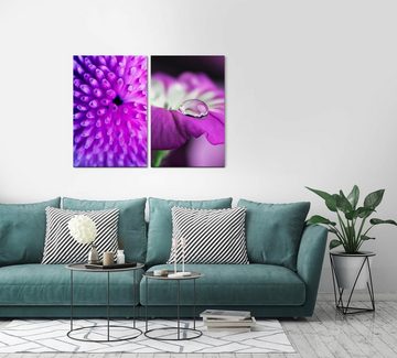 Sinus Art Leinwandbild 2 Bilder je 60x90cm Koralle Violett positive Energie Harmonie Sanft Blume Makrofotografie